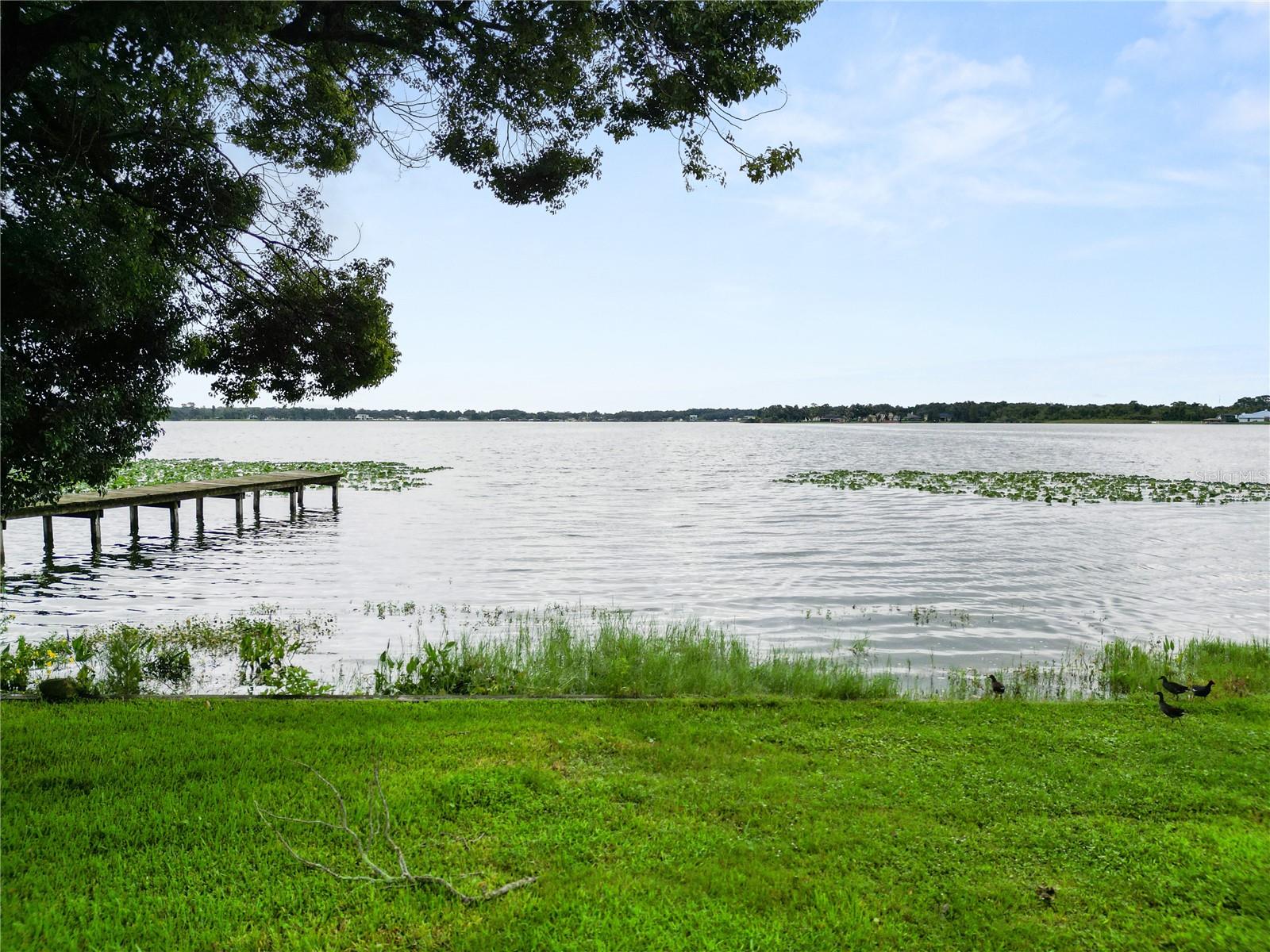 4911 LINC LANE, Lakeland, FL 33809
