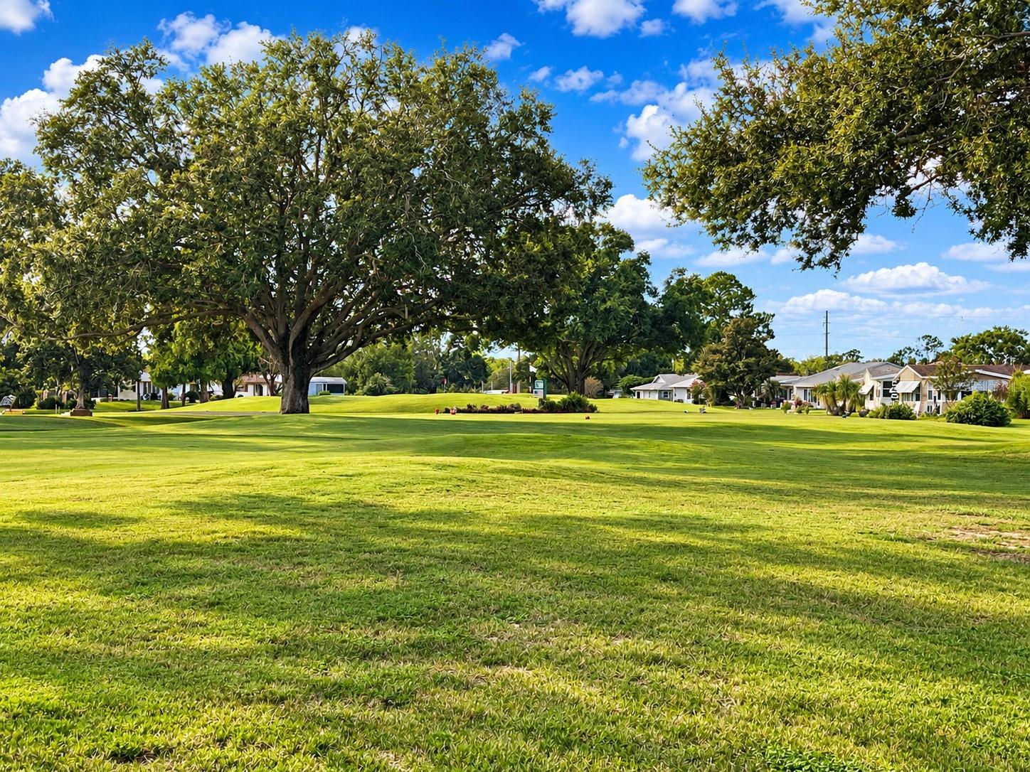 3273 PEBBLE BEND DRIVE, Lakeland, FL 33810