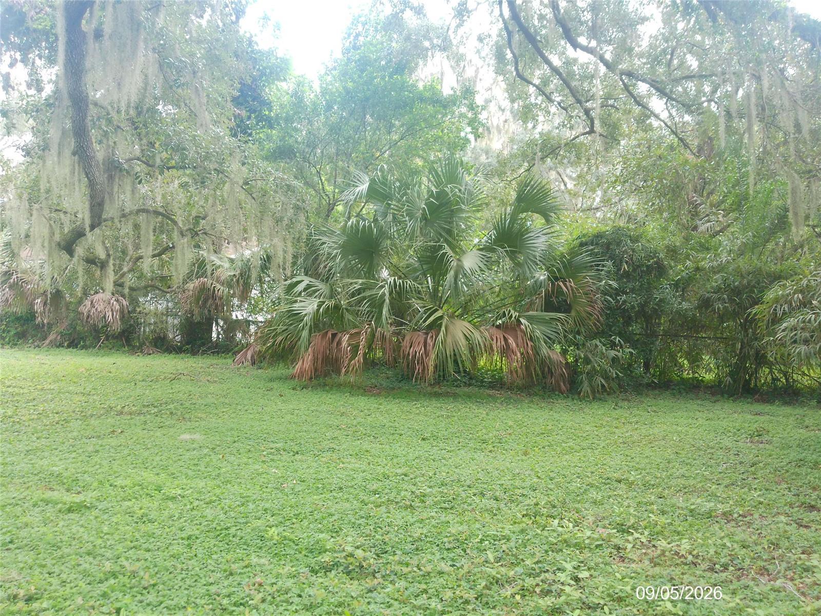 1423 CRYSTAL LAKE DRIVE, Lakeland, FL 33801