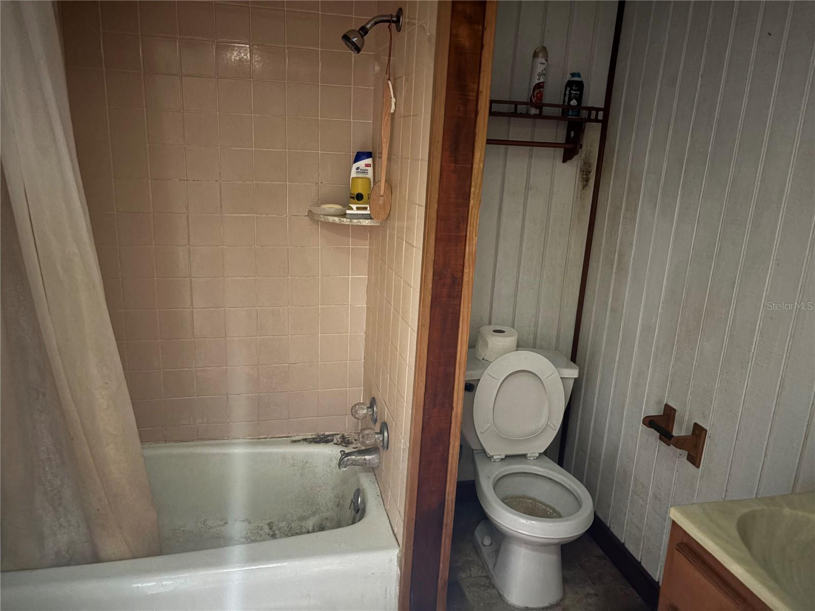 Bathroom w/ Shower-Tub Combo