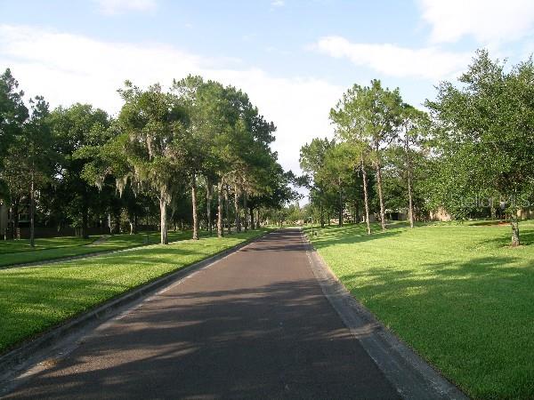 manicured tree-lined roadways.