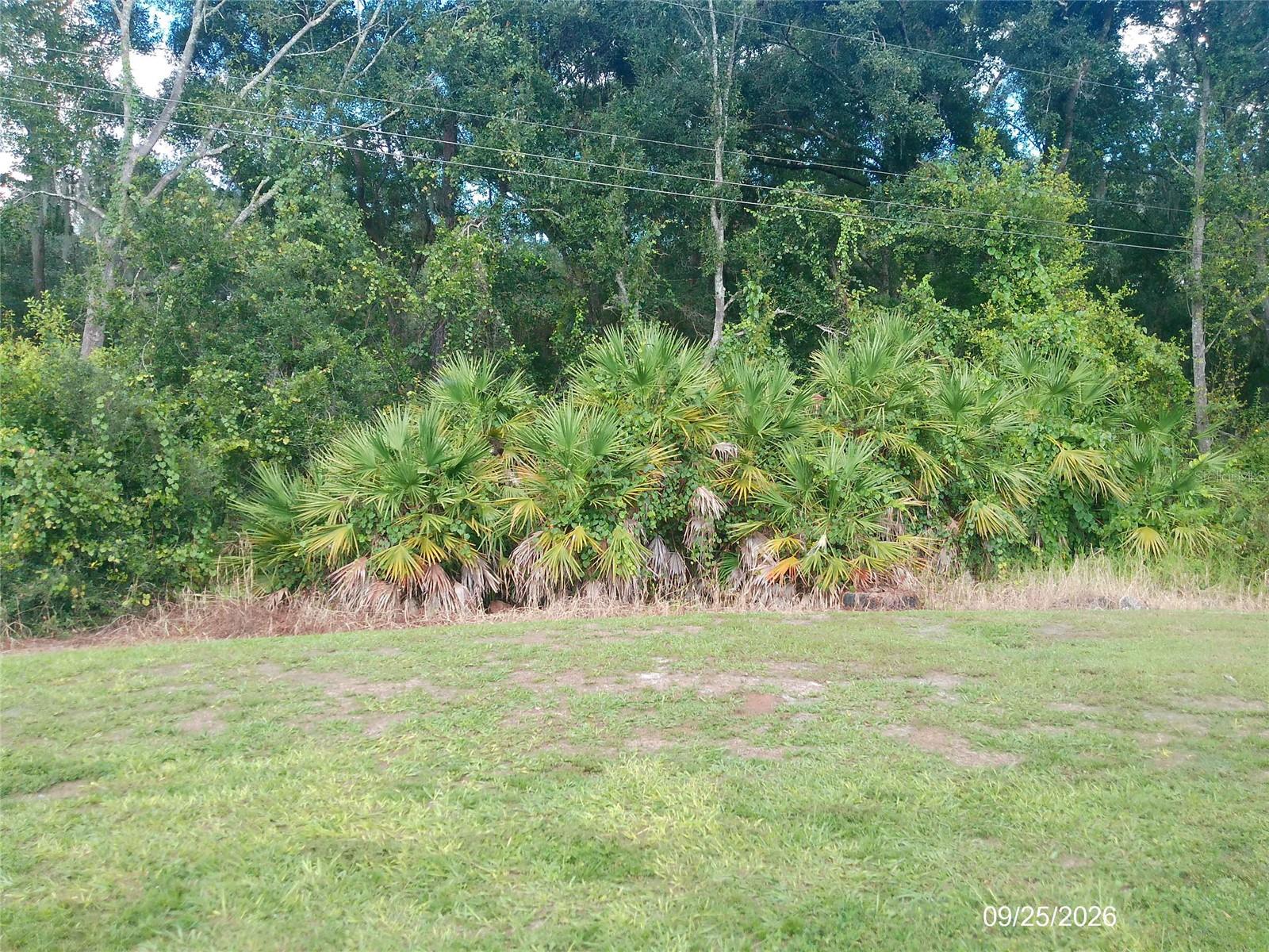 951 FOX LAKE DRIVE, Lakeland, FL 33809