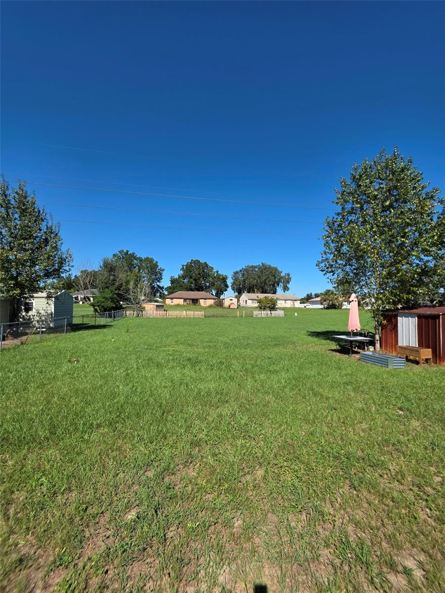 Backyard