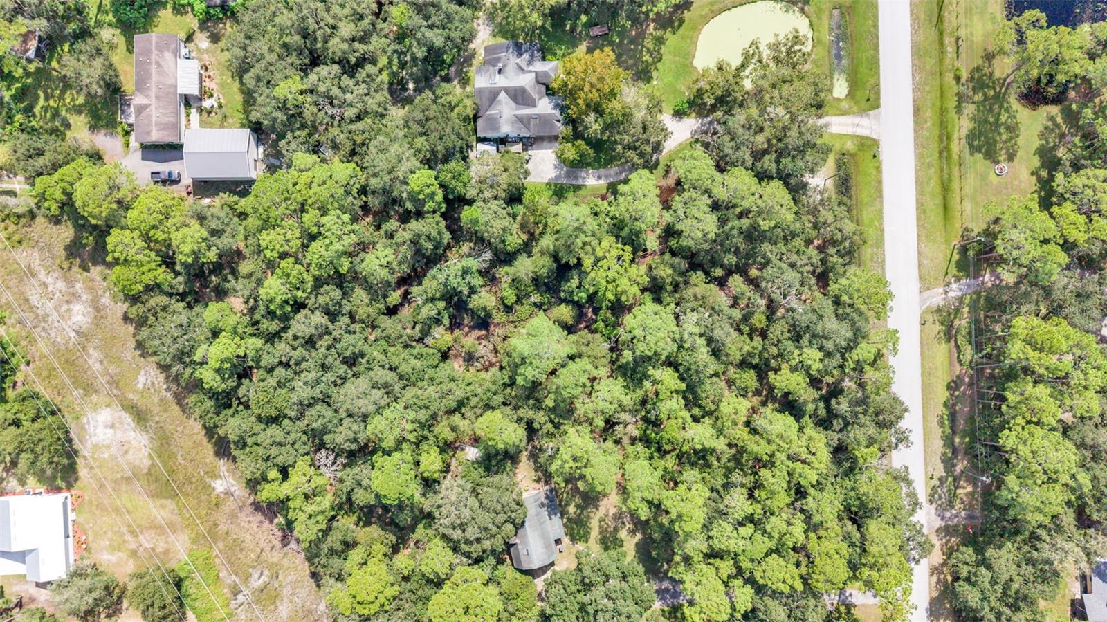 ITCHEPACKESASSA DRIVE, Lakeland, FL 33810