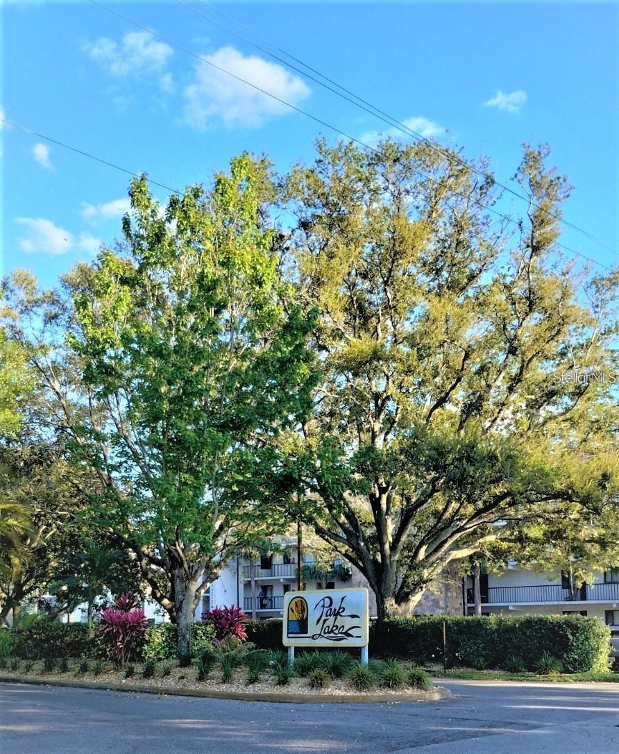 Front of Community