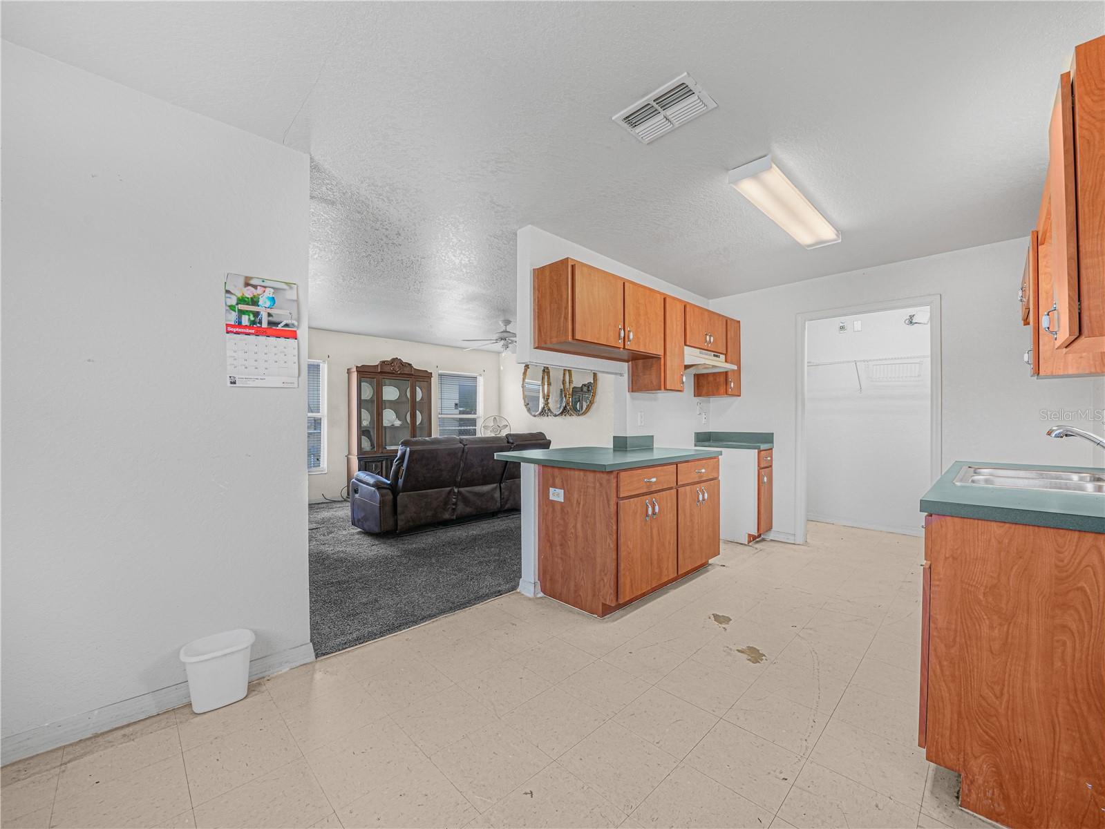 215 DORSETT AVENUE, Lake Wales, FL 33853