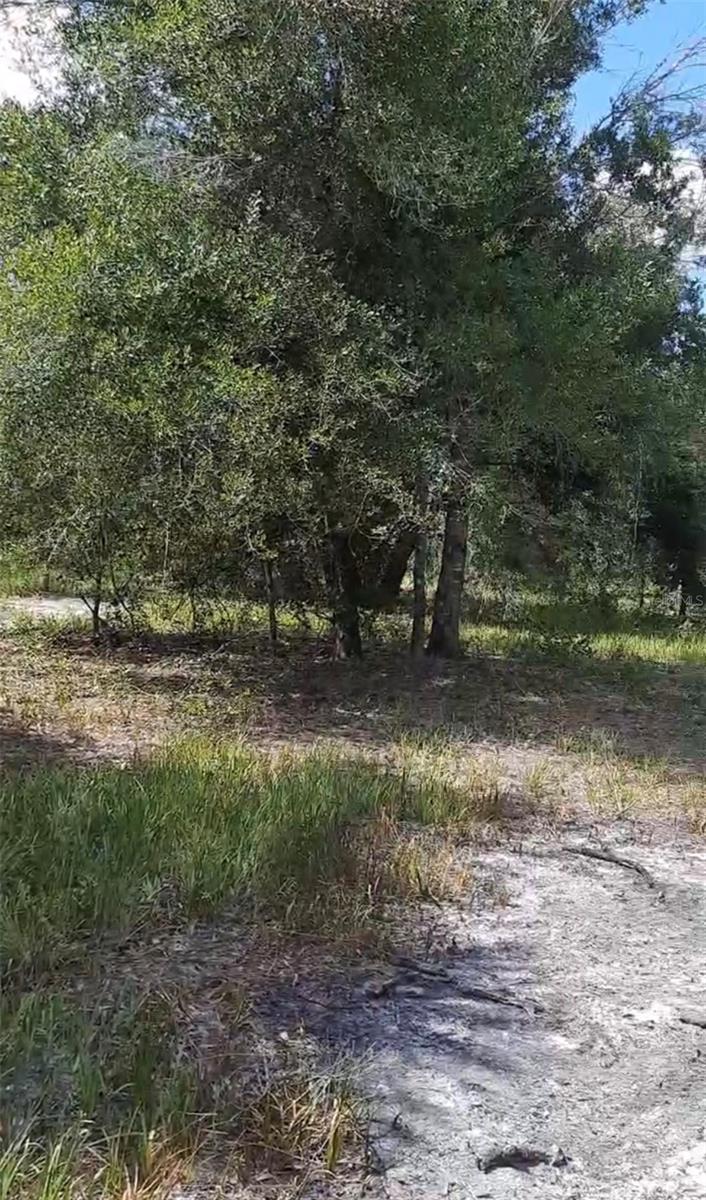 19527 NW 286TH STREET, Okeechobee, FL 34972
