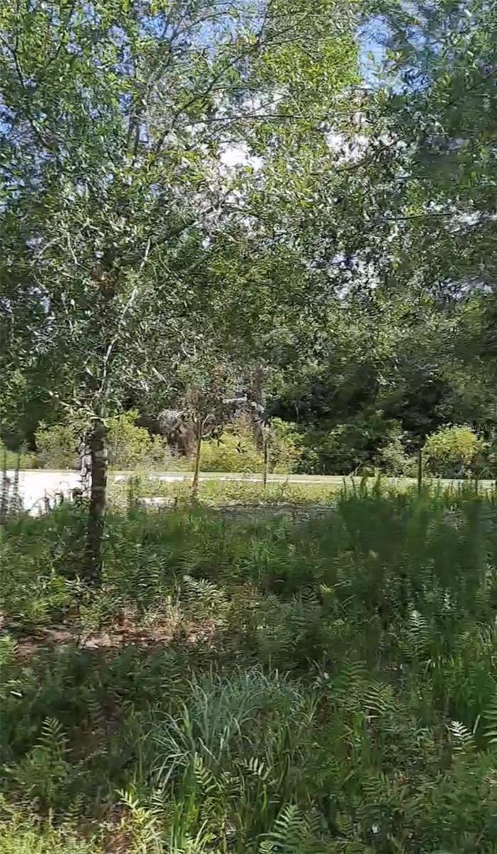 19527 NW 286TH STREET, Okeechobee, FL 34972