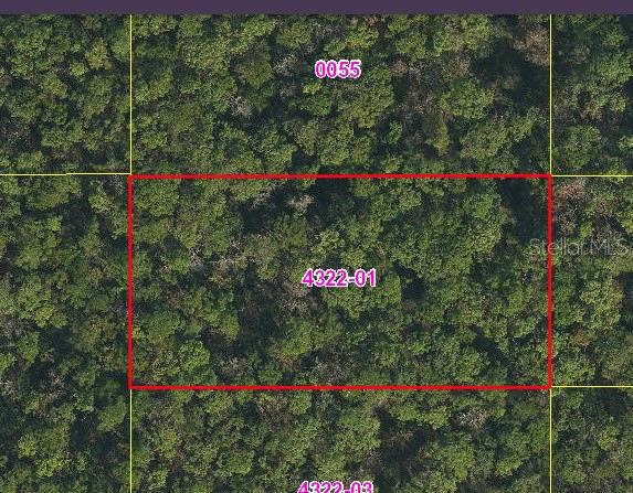 SWEETWATER TRAIL, Kissimmee, FL 34747