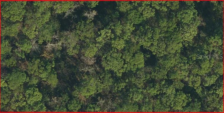 SWEETWATER TRAIL, Kissimmee, FL 34747
