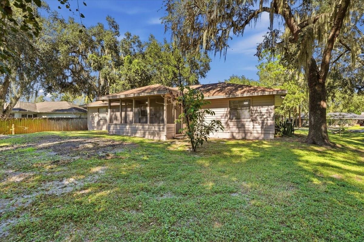 Large Shady Back Yard