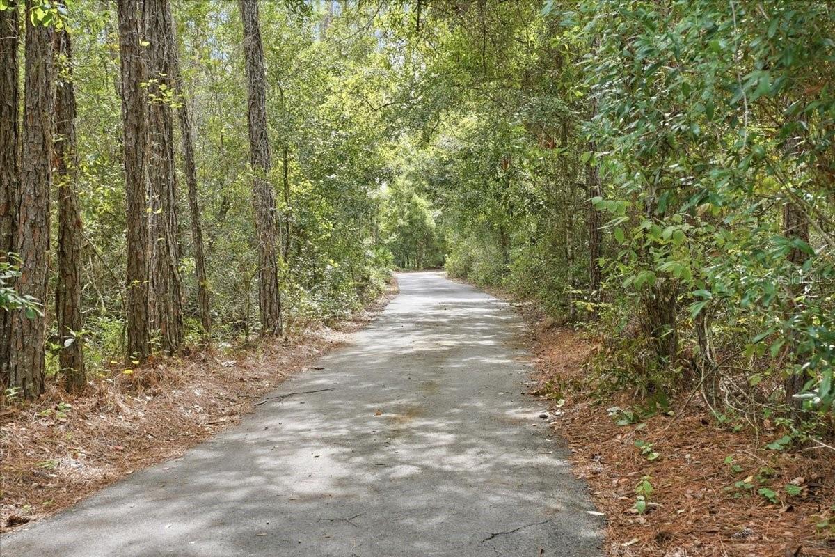 6815 CONLEY DRIVE, Polk City, FL 33868