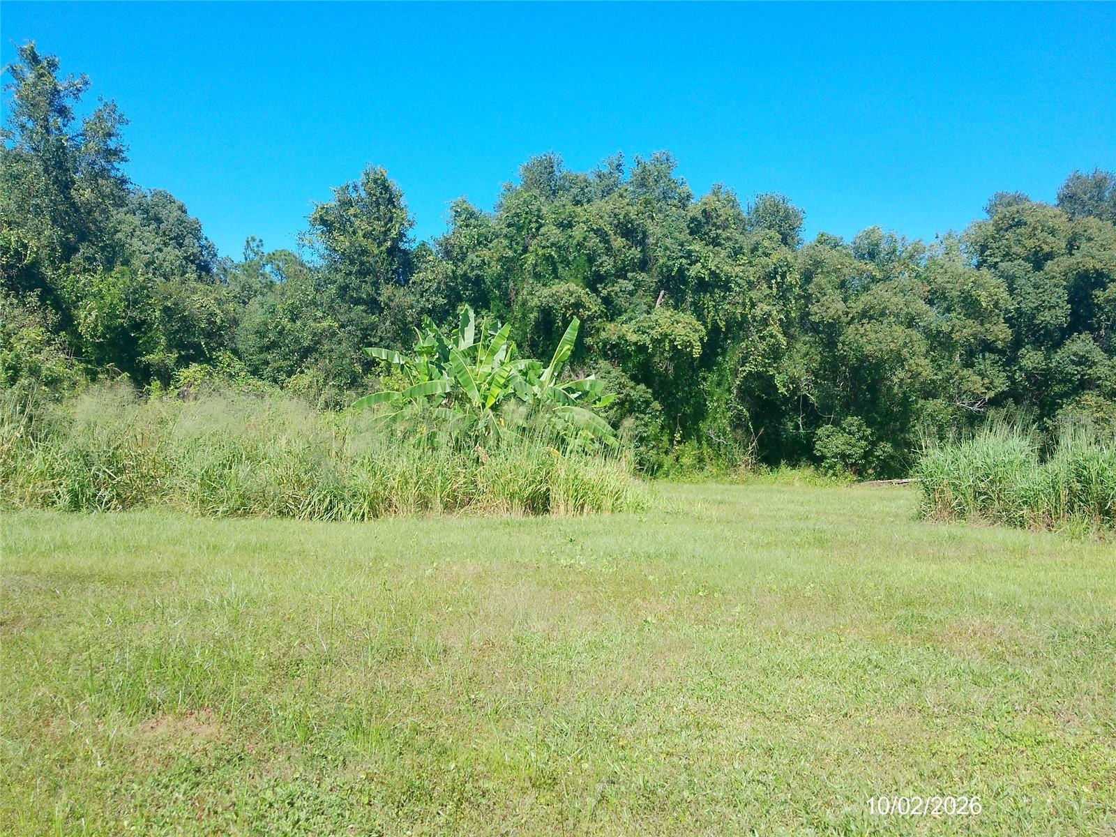 3130 TENOROC MINE ROAD, Lakeland, FL 33805