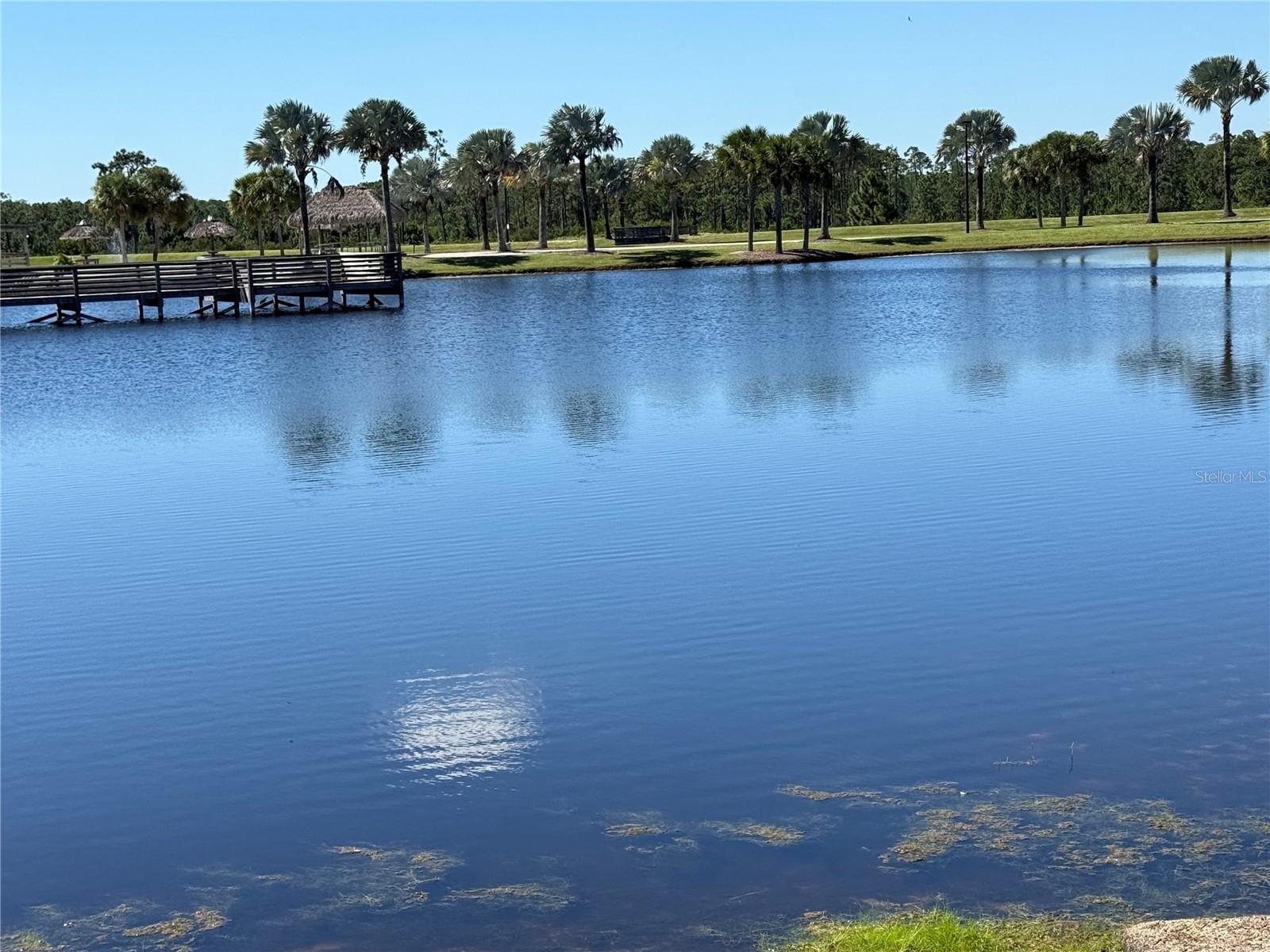 Water View (Common)