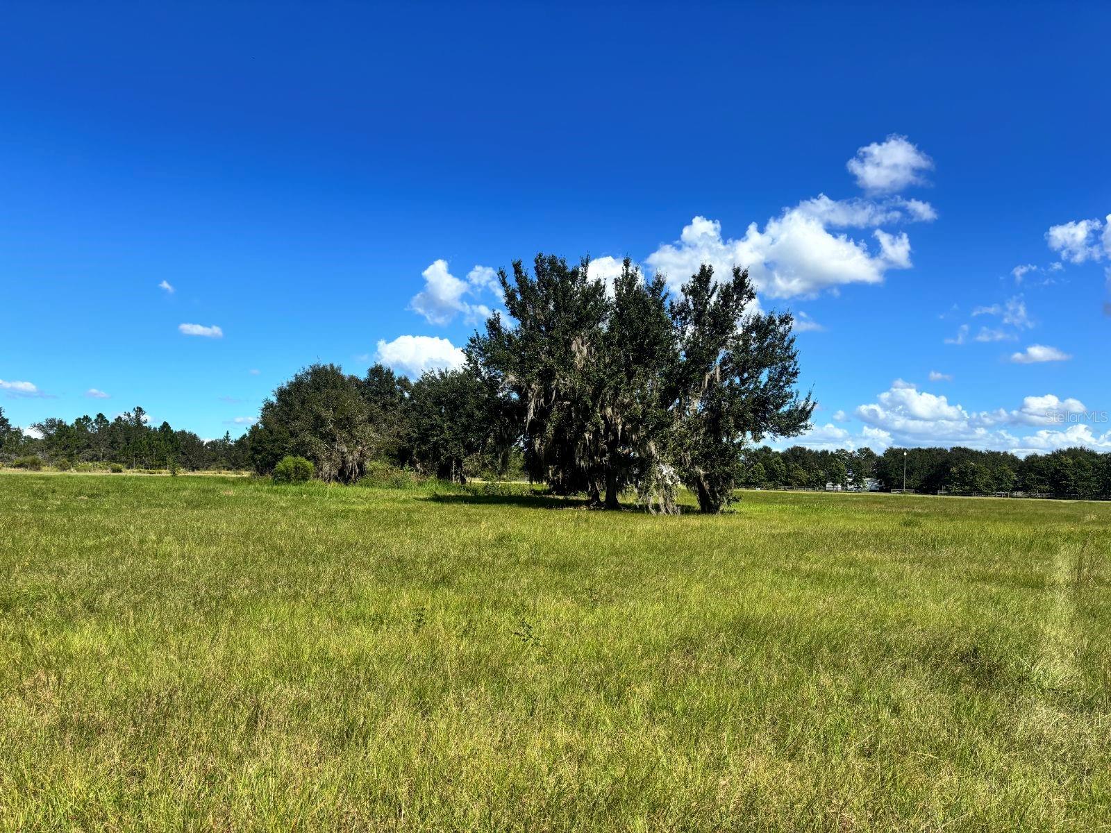 5171 SINGLETARY ROAD, Fort Meade, FL 33841