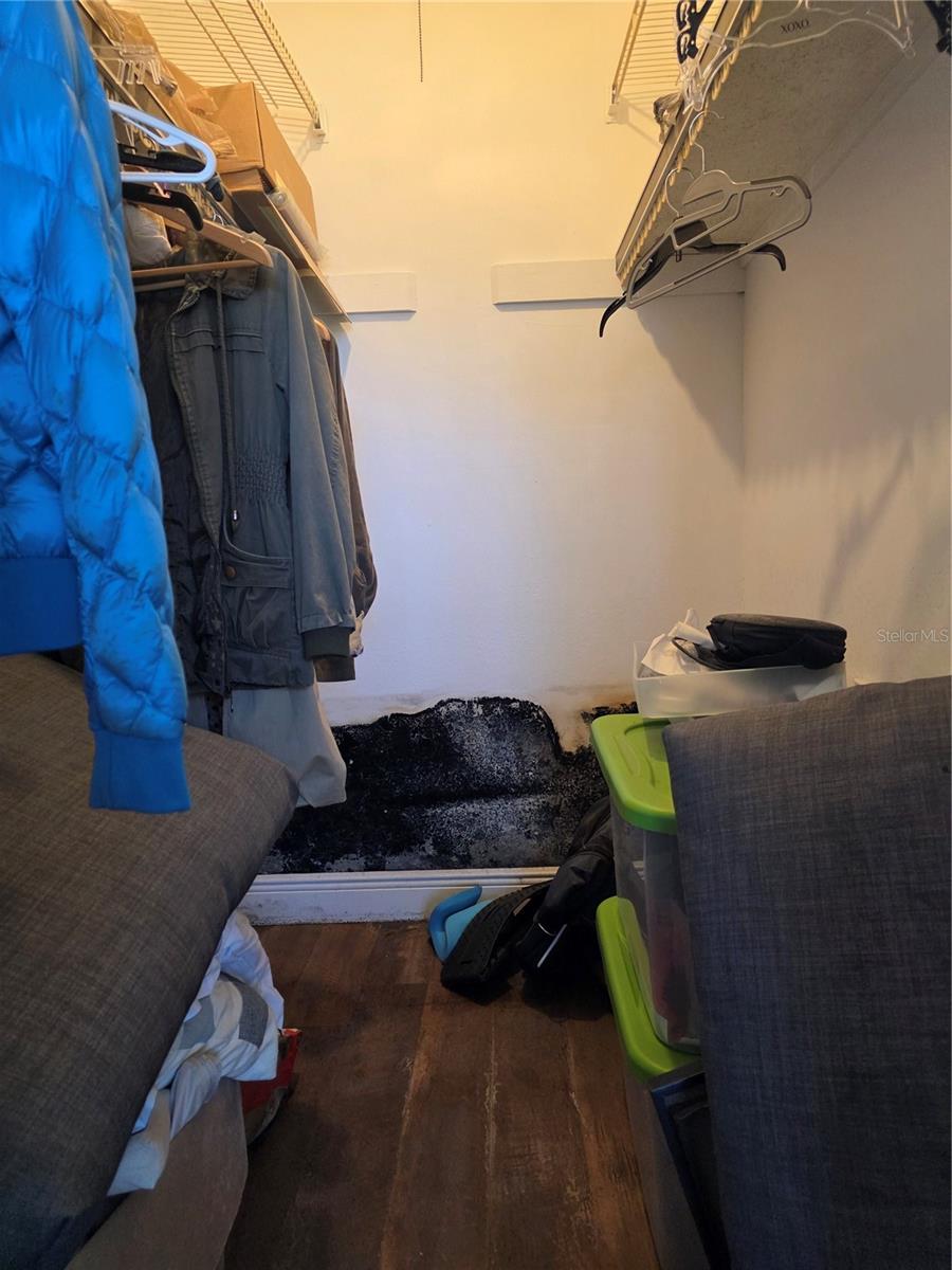 Mold Intrusion in Walk-in Closet