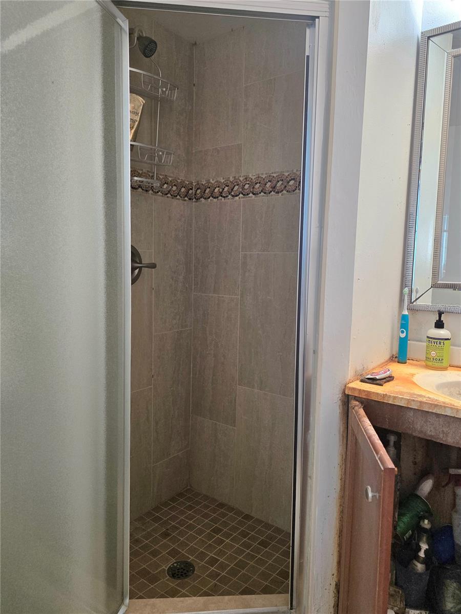 Shower in En Suite bath