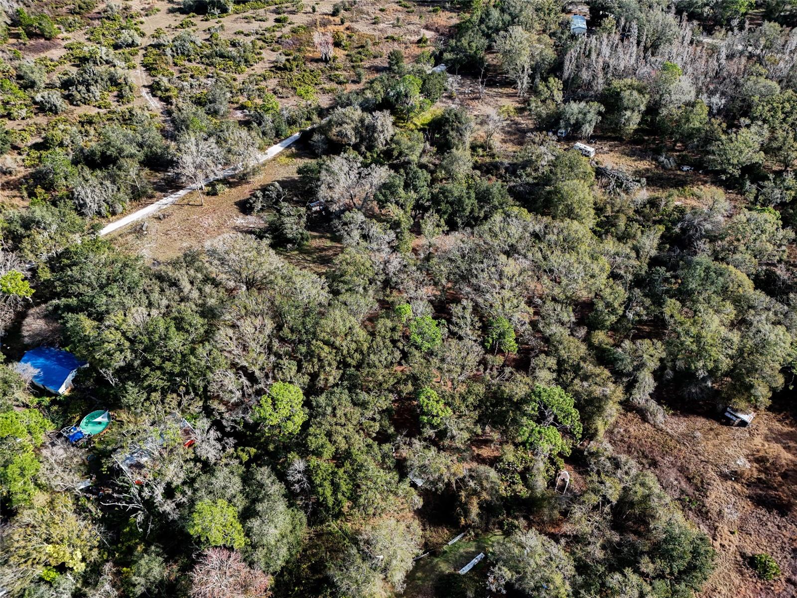 40550 SUTORUS ROAD, Zephyrhills, FL 33540 40550 SUTORUS ROAD, Zephyrhills, FL 33540