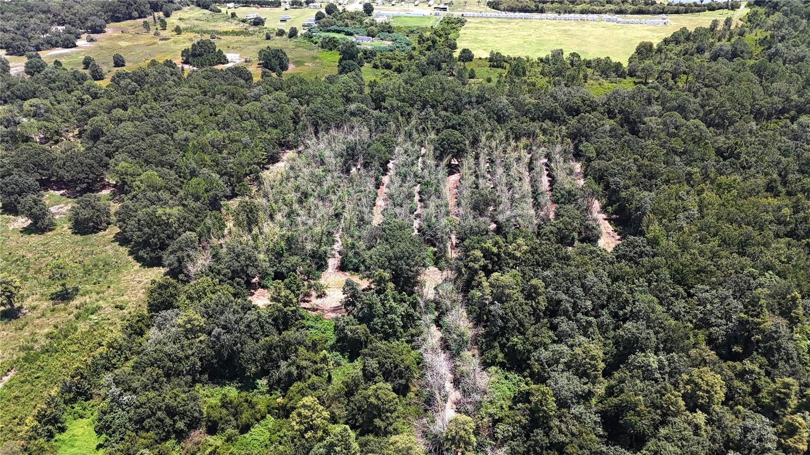 0 US HIGHWAY 27, Lake Wales, FL 33859