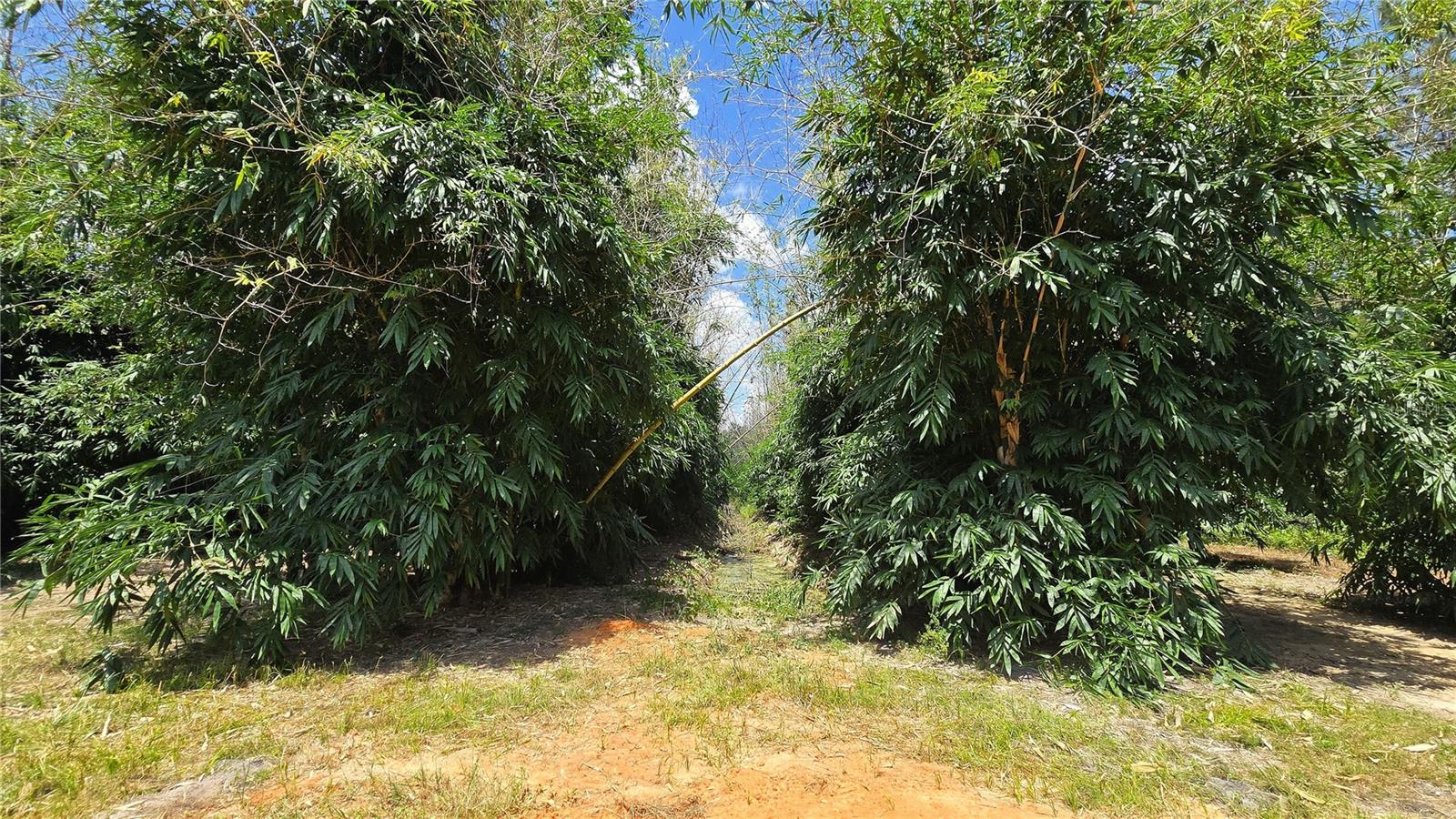 0 US HIGHWAY 27, Lake Wales, FL 33859