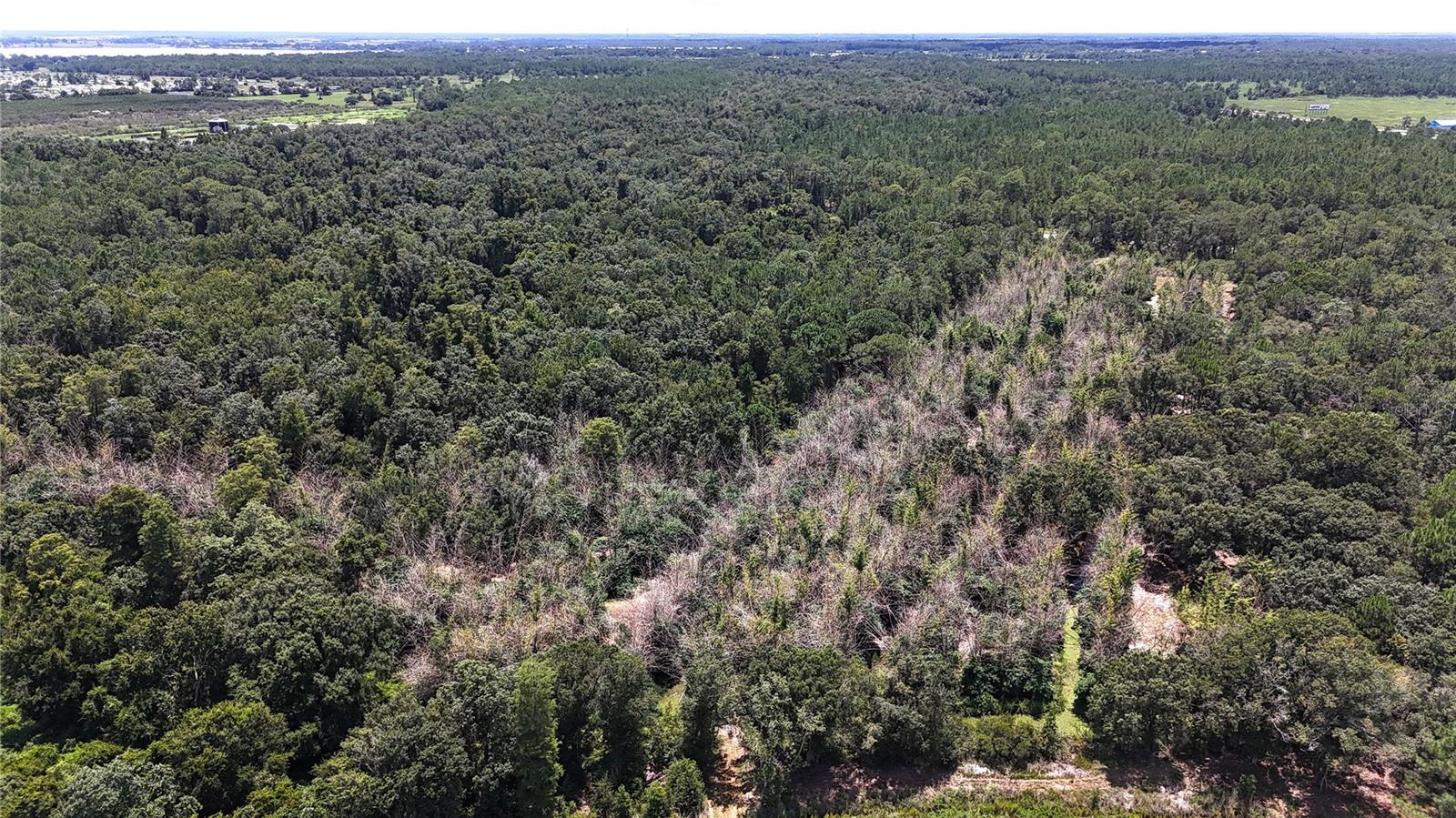 0 US HIGHWAY 27, Lake Wales, FL 33859