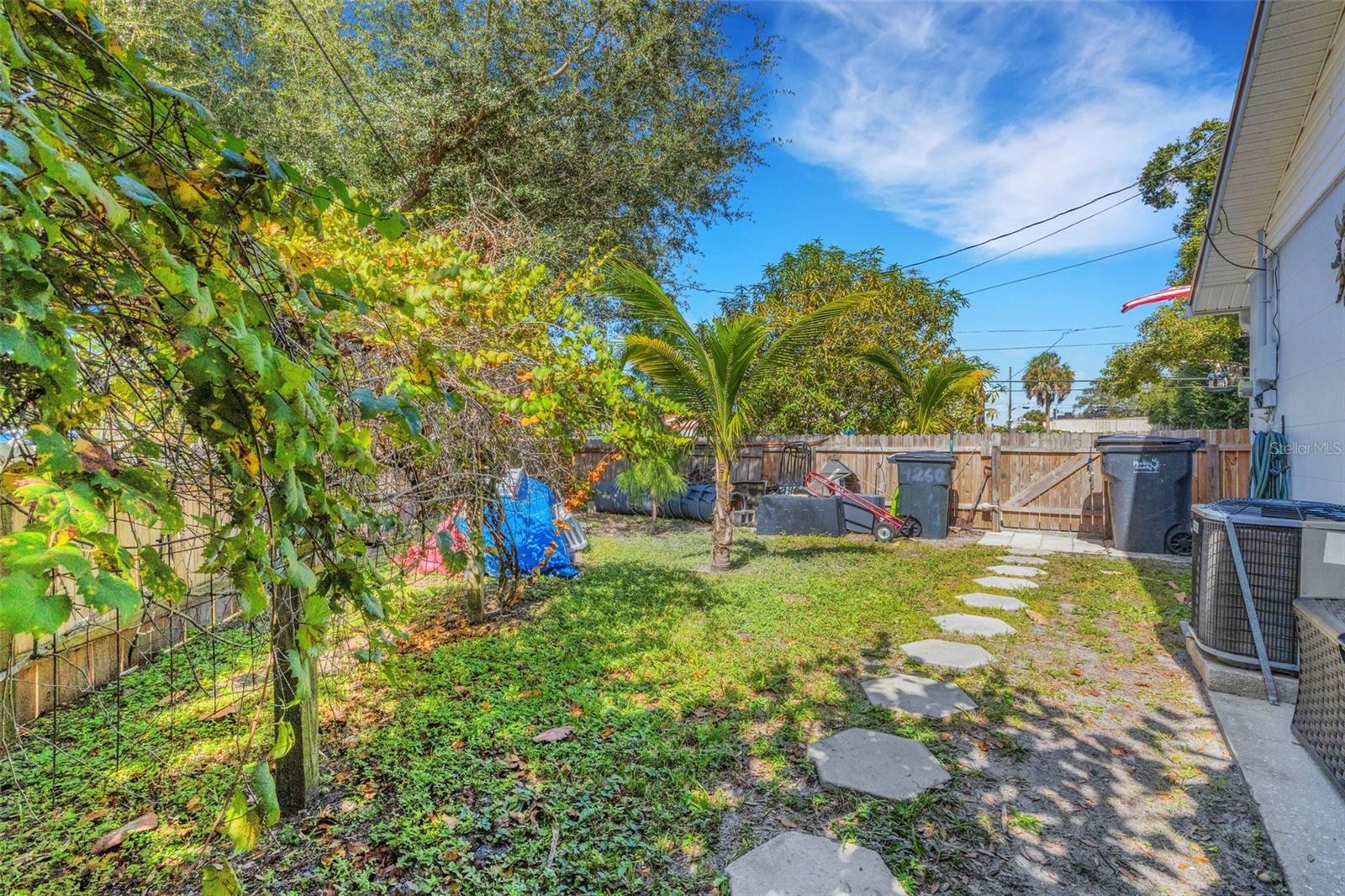 Fenced Side Yard with Grape Vines
