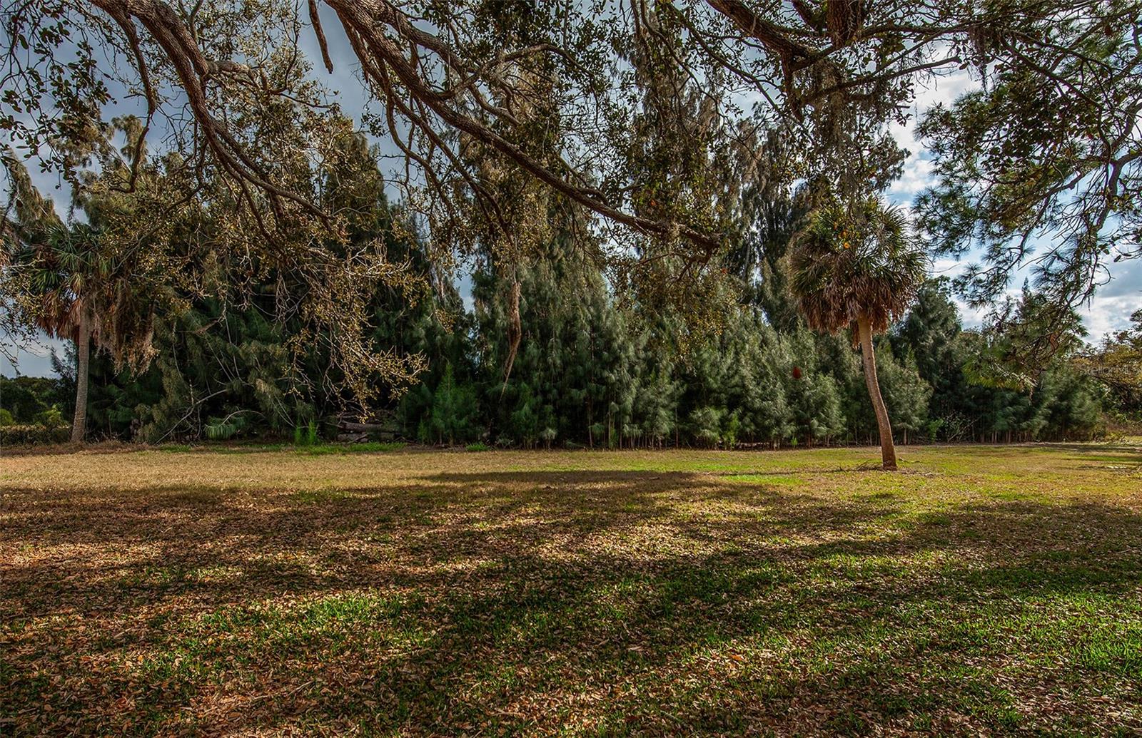 Bird Bay Grounds