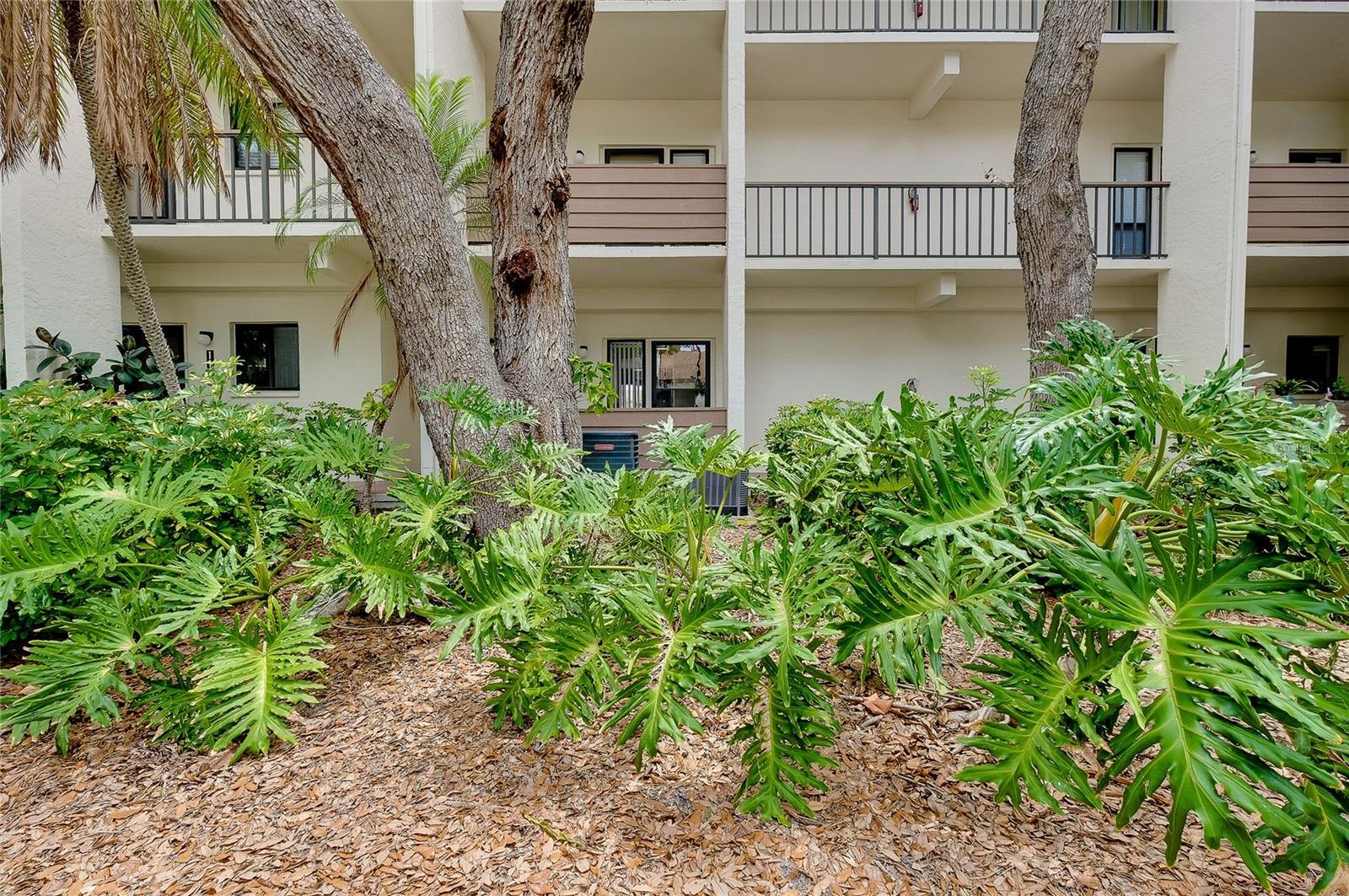 1186 BIRD BAY WAY, #109, Venice, FL 34285