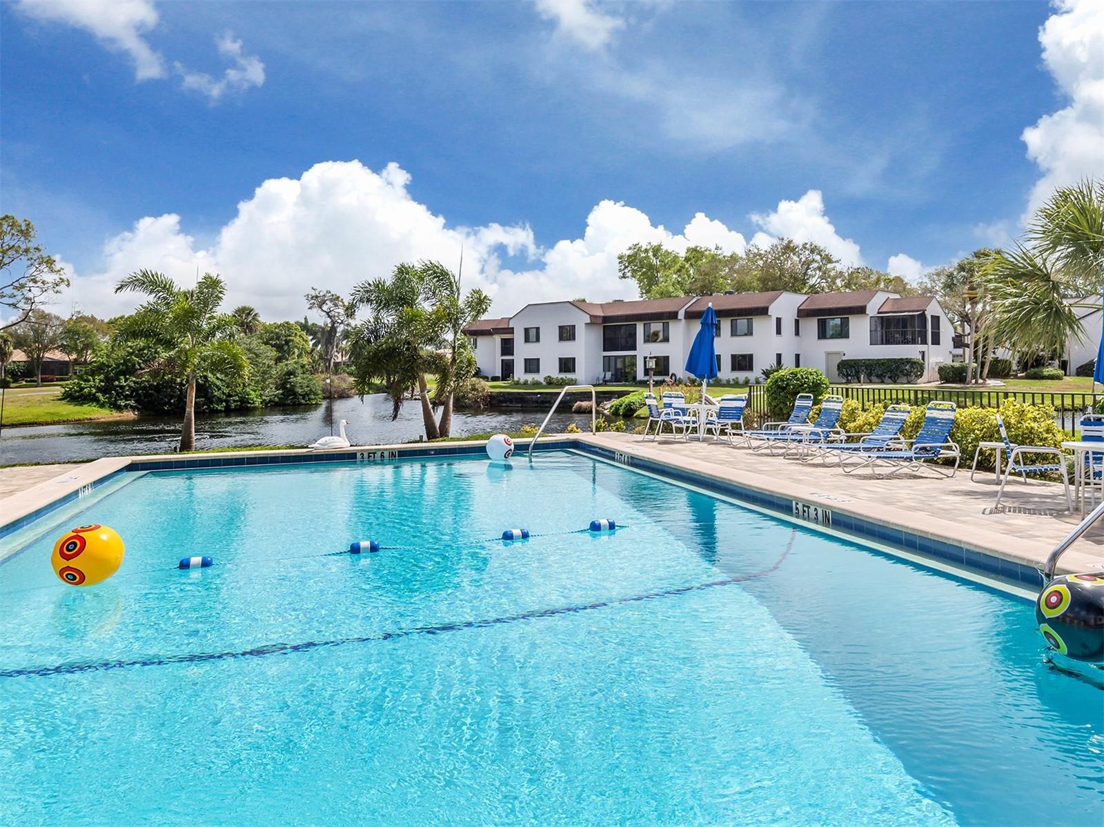 lap style pool