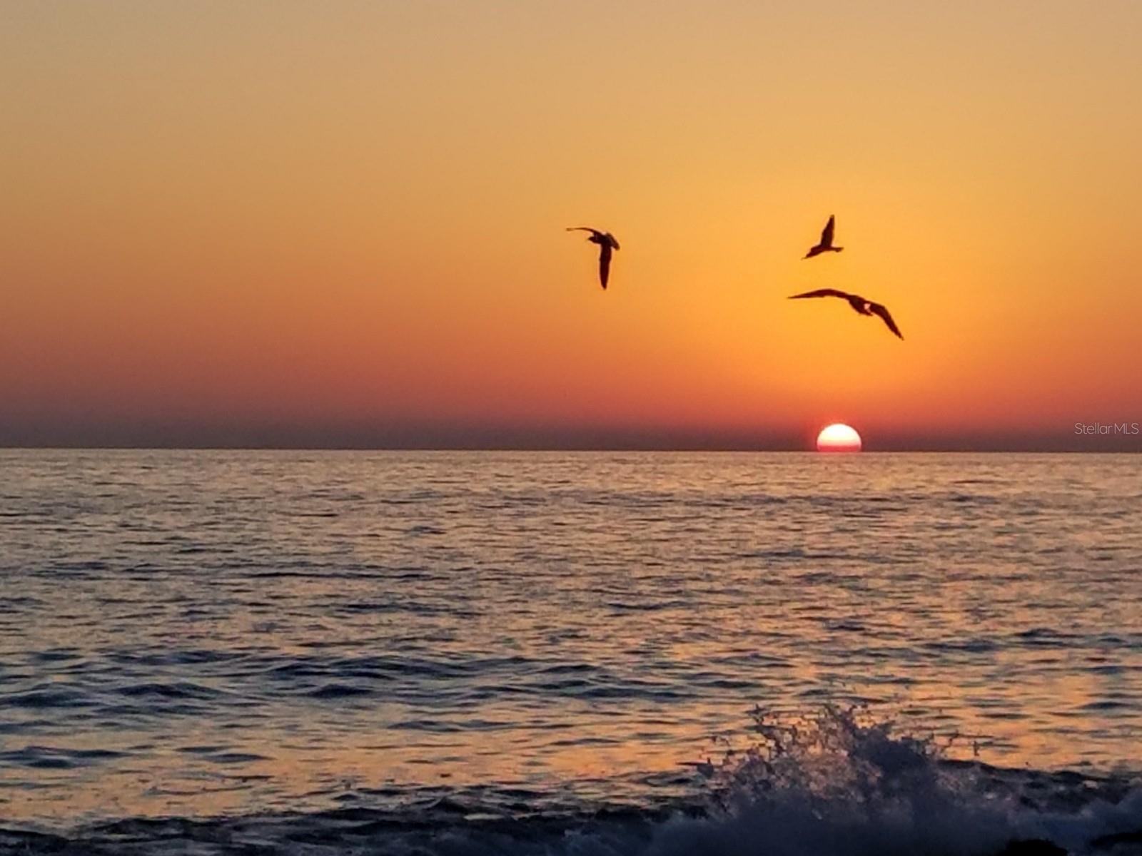 sunset over Gulf