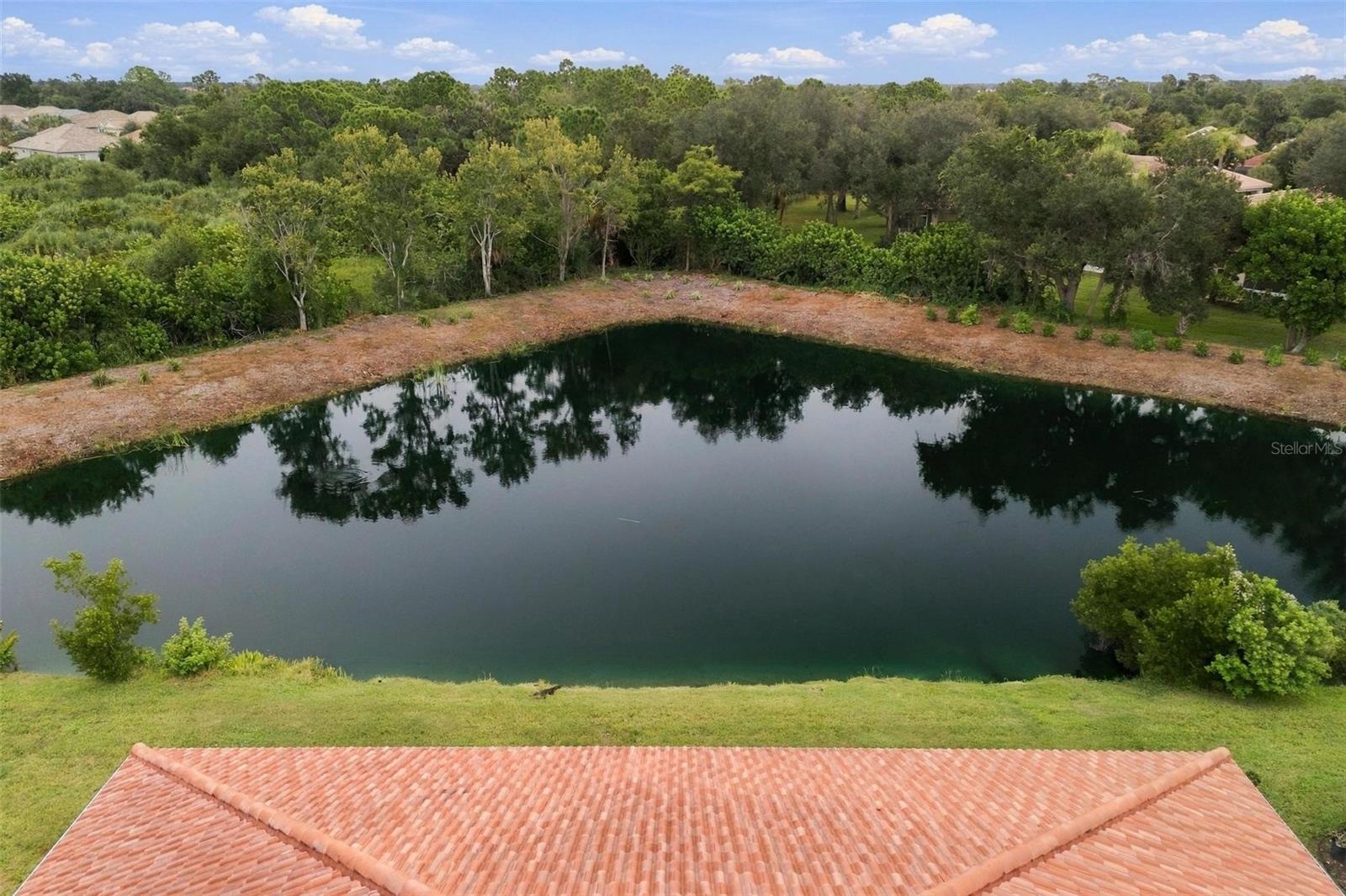 Southeastern facing pond view