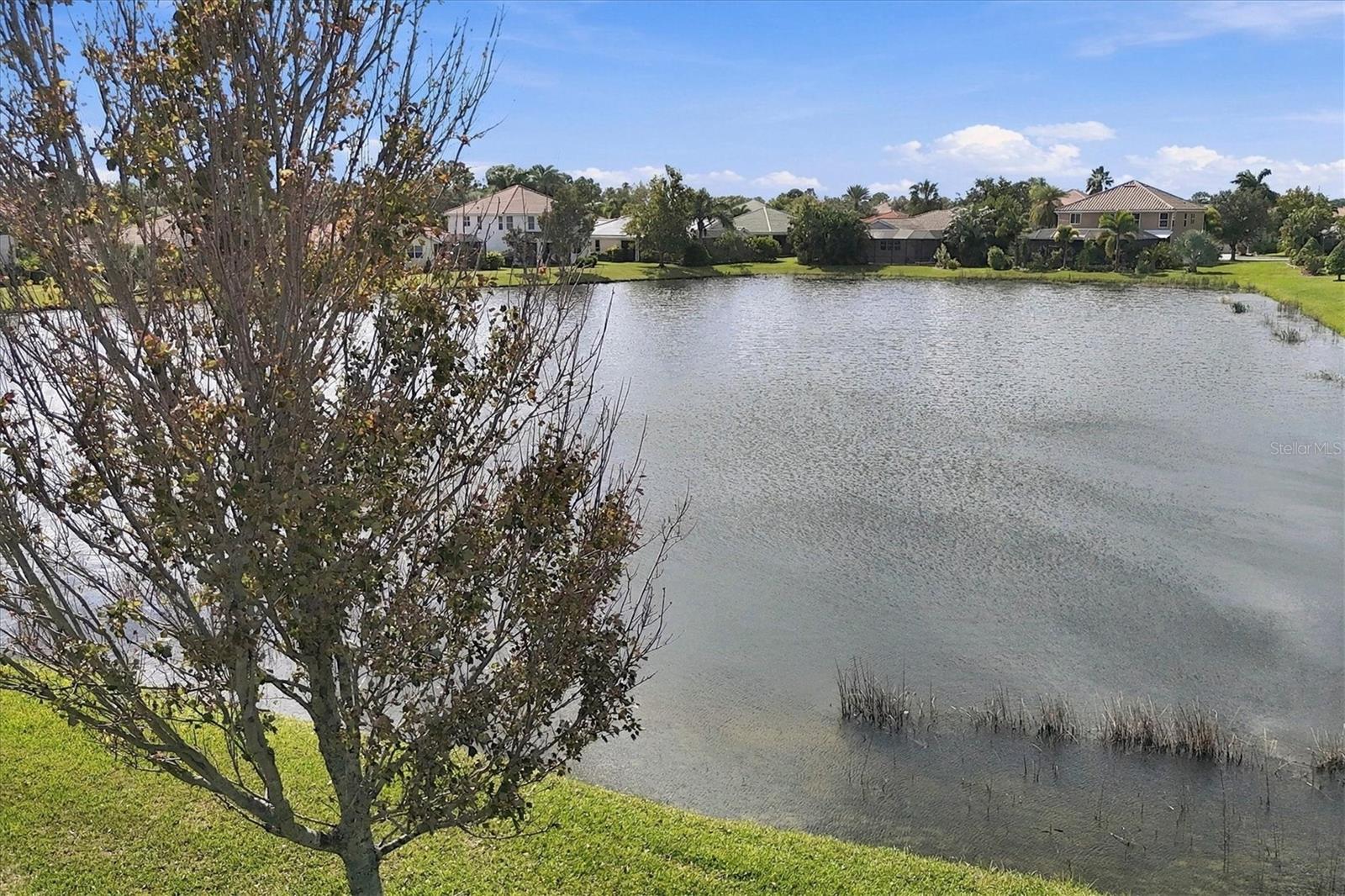 2213 MESIC HAMMOCK WAY, Venice, FL 34292
