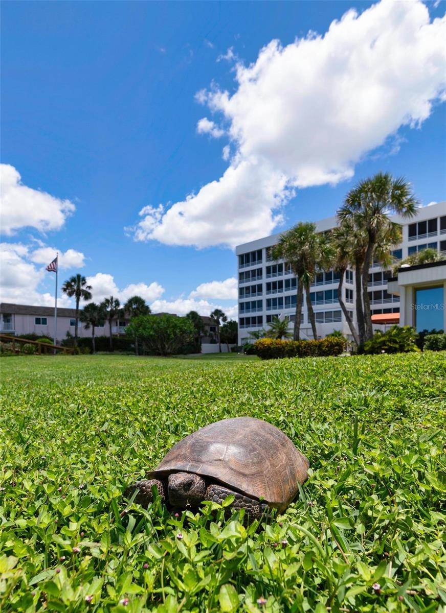 550 W FLAMINGO DRIVE, #2, Venice, FL 34285