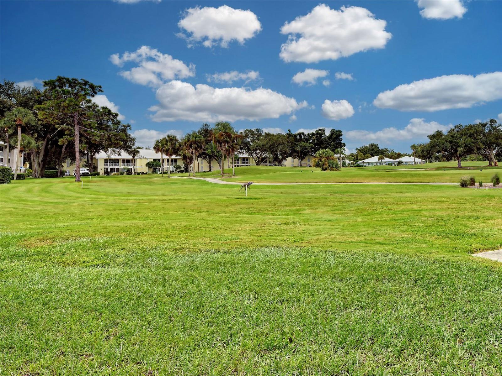 Expansive golf course view from the back patio