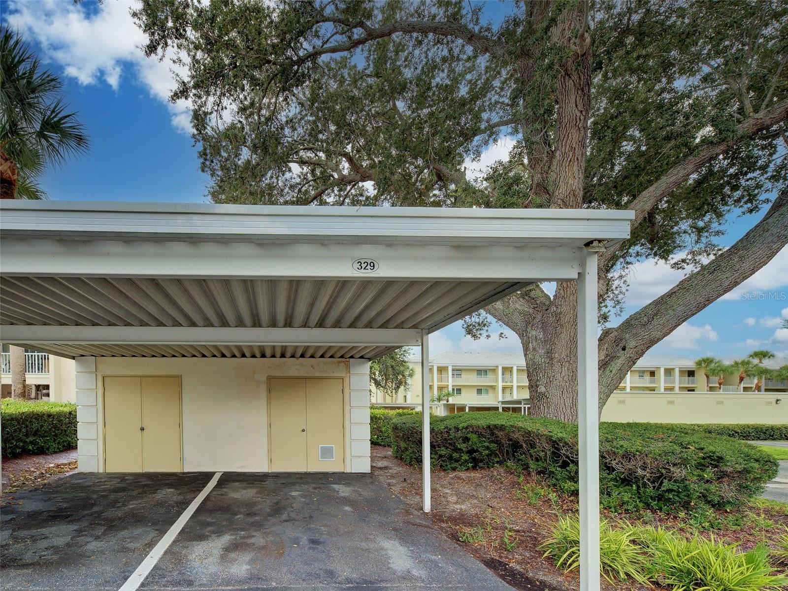 Carport parking spot with storage.