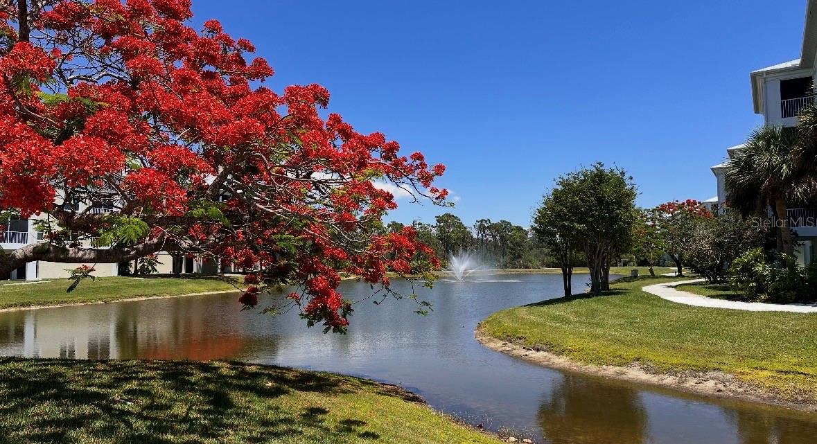 8407 PLACIDA ROAD, #205, Placida, FL 33946