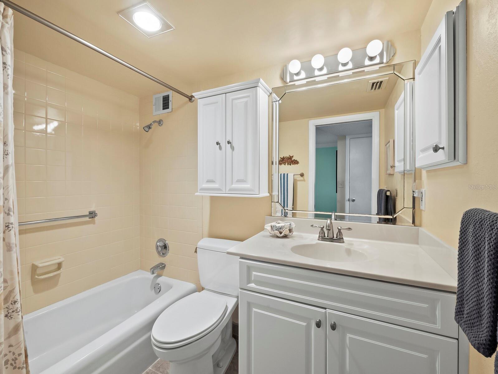 Guest bathroom