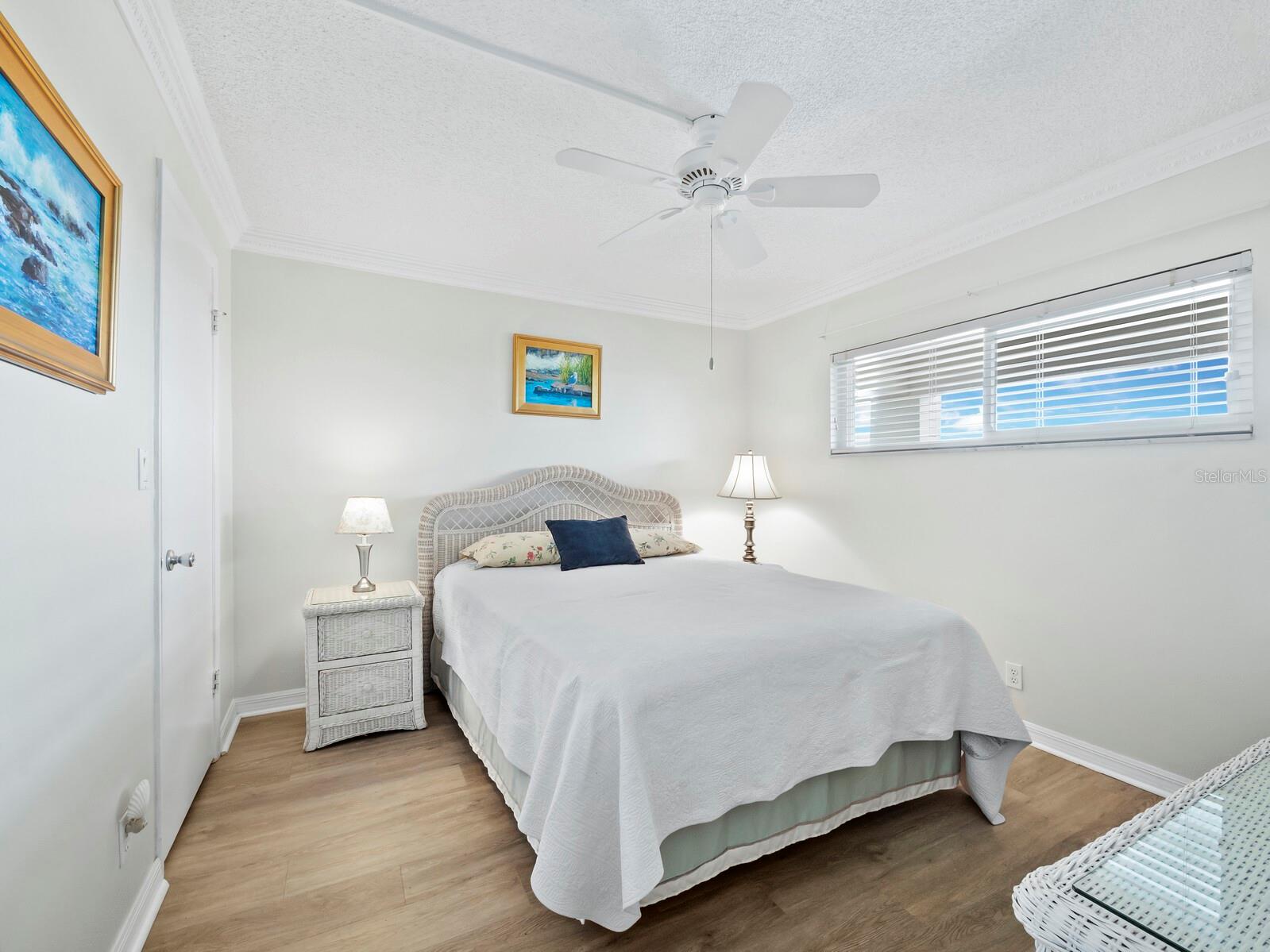 Guest bedroom with walk-in closet