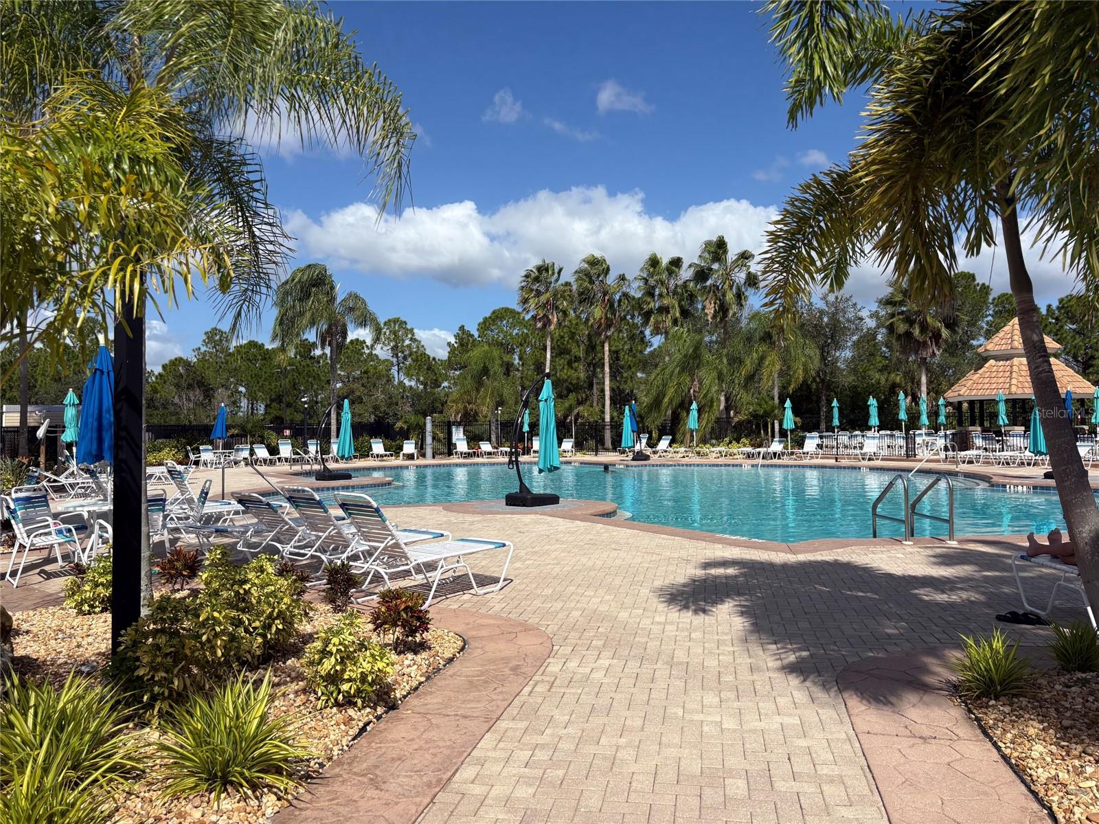 Wide view of pool; there is a jacuzzi as well