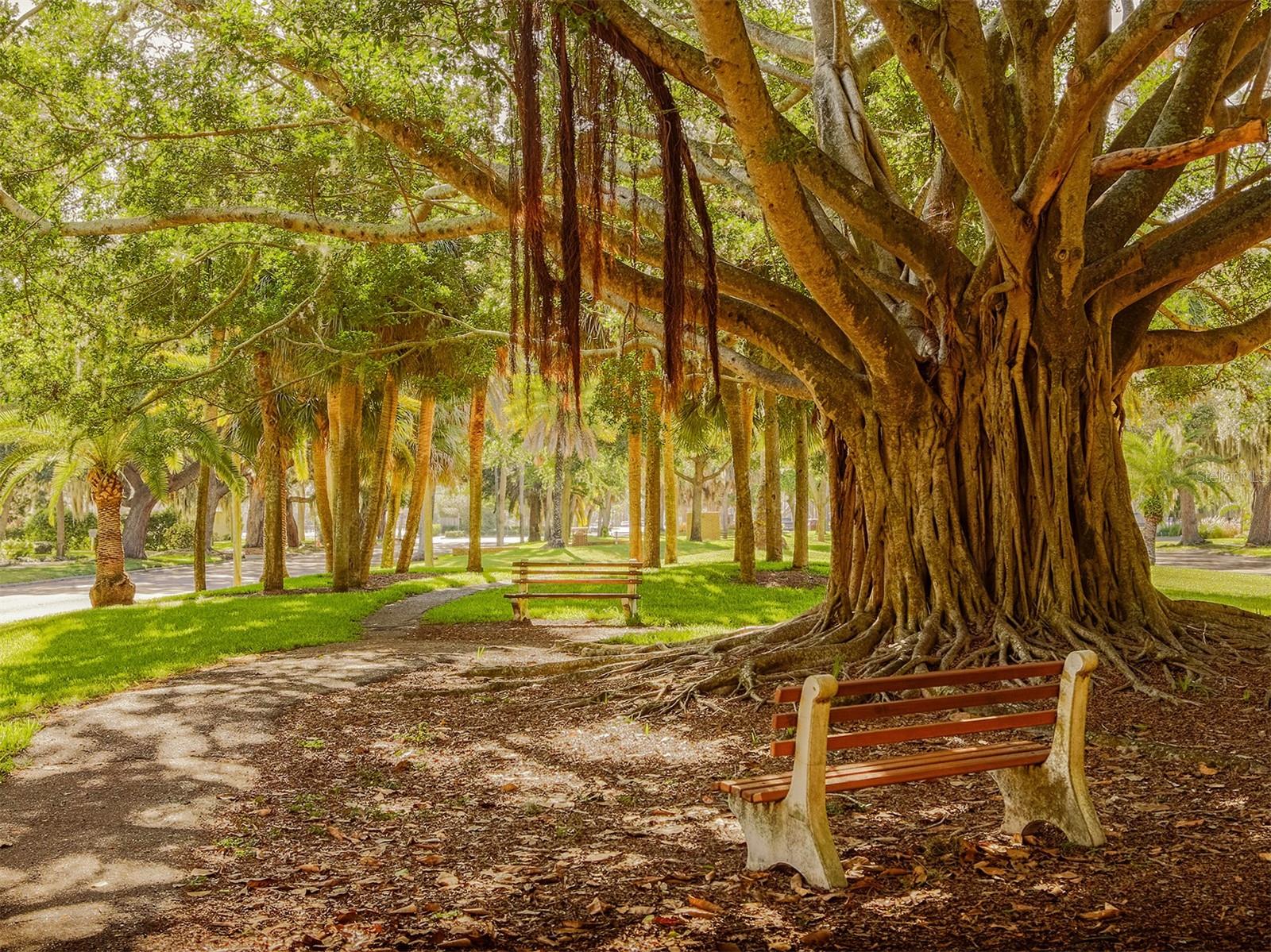 801 WATERSIDE DRIVE, #102, Venice, FL 34285