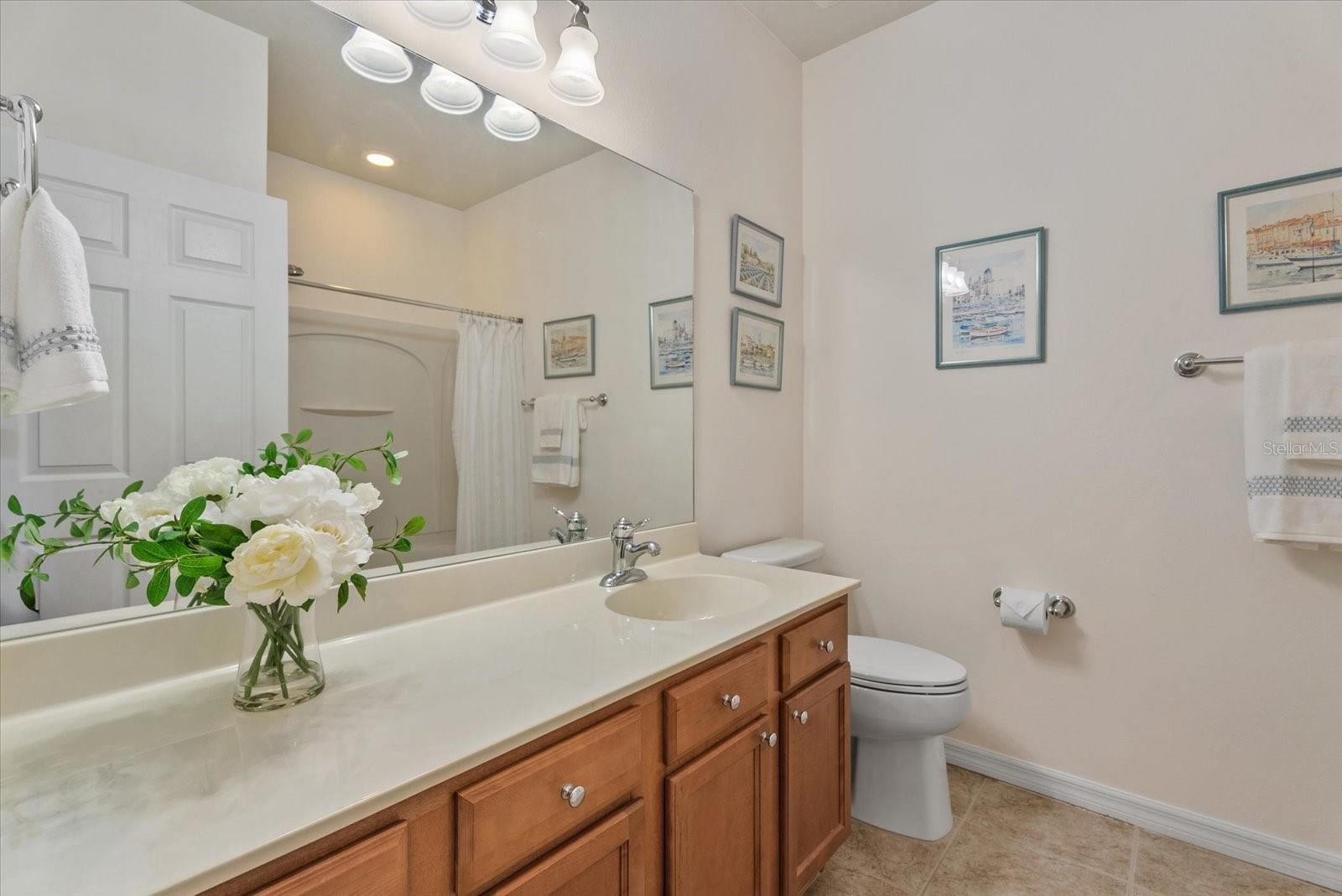 Guest Bathroom