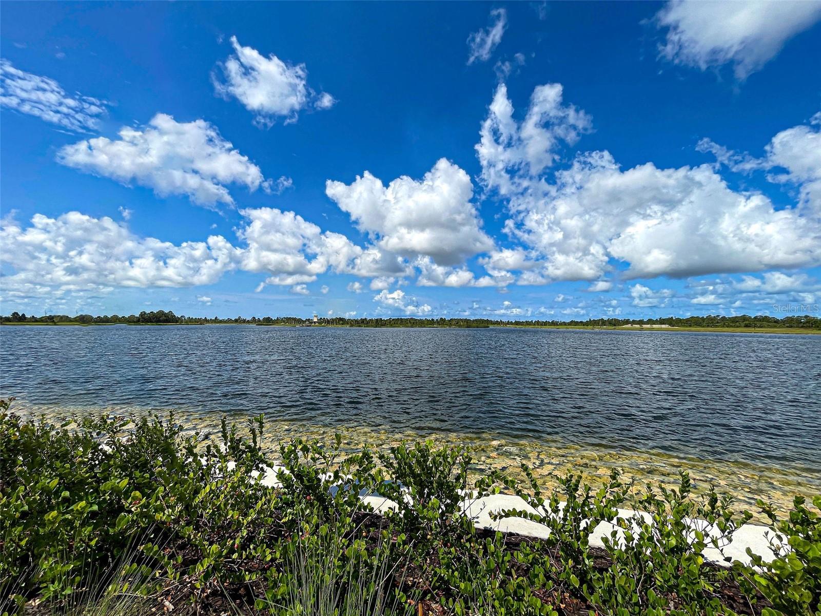 19831 ORTONA STREET, Venice, FL 34293