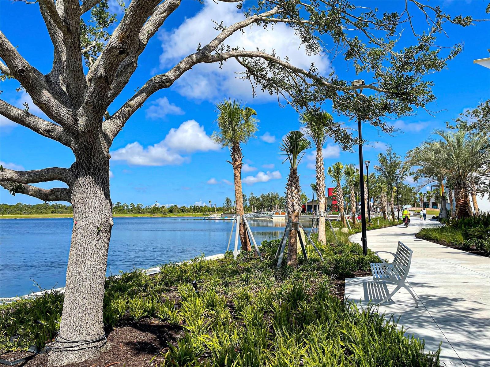 19831 ORTONA STREET, Venice, FL 34293