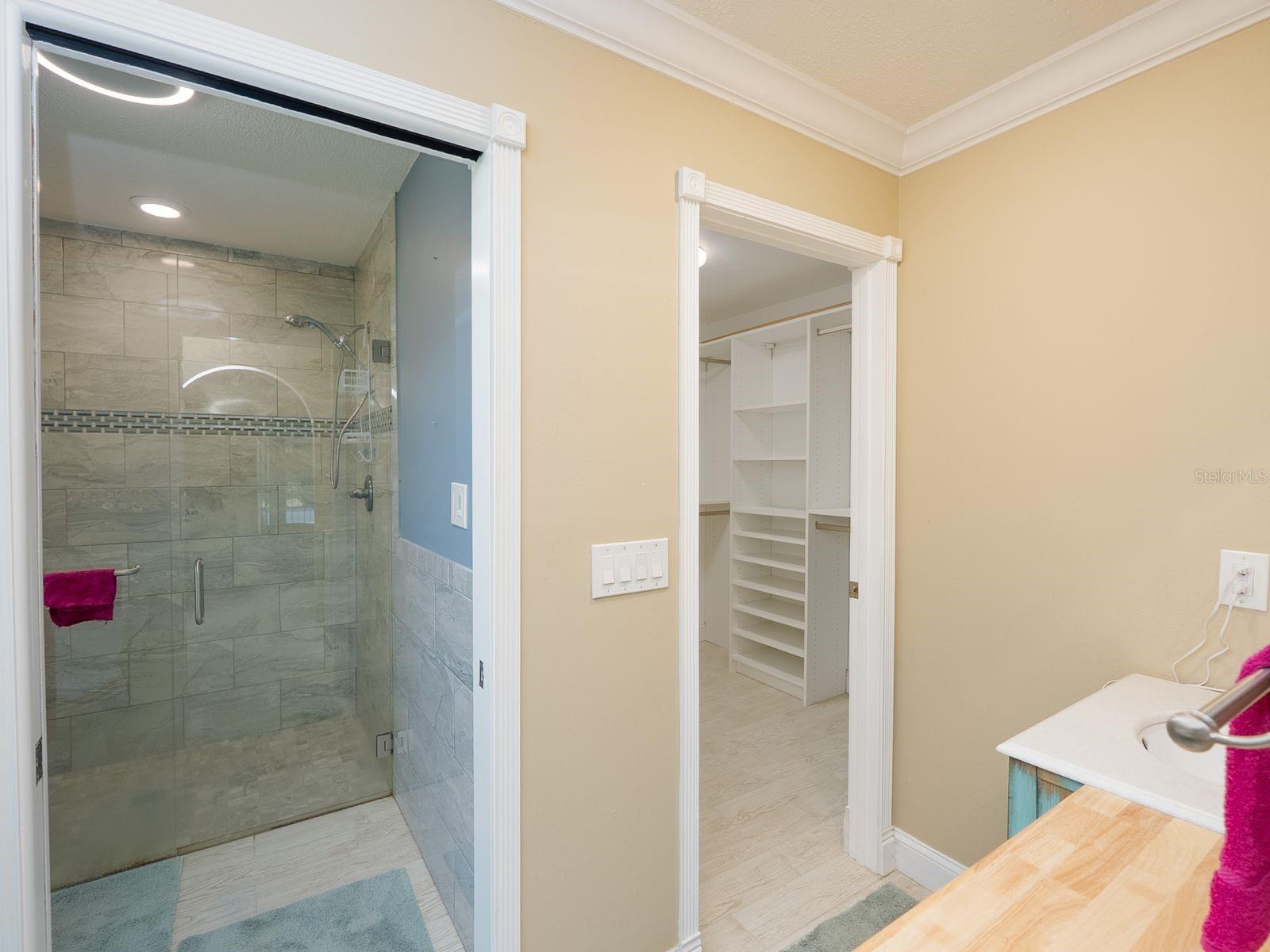 primary bath shower and door to walk in closet