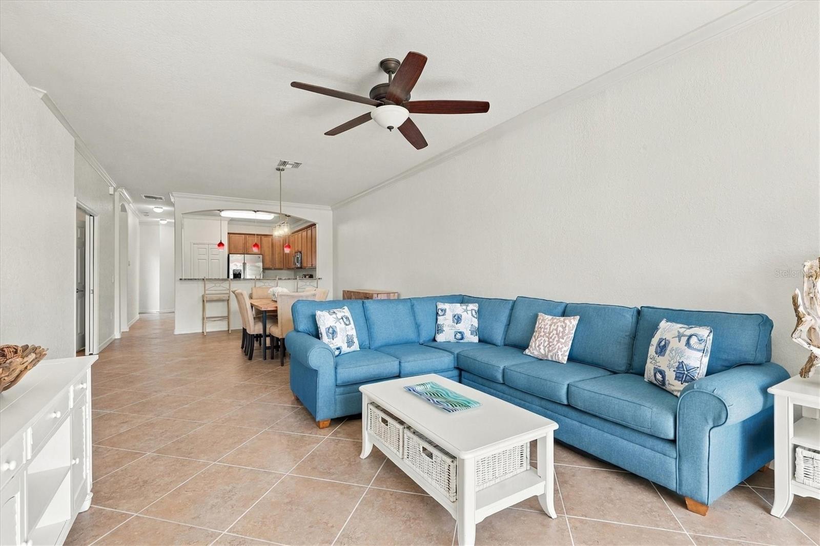 Freshly Painted Living Room/Dining Room