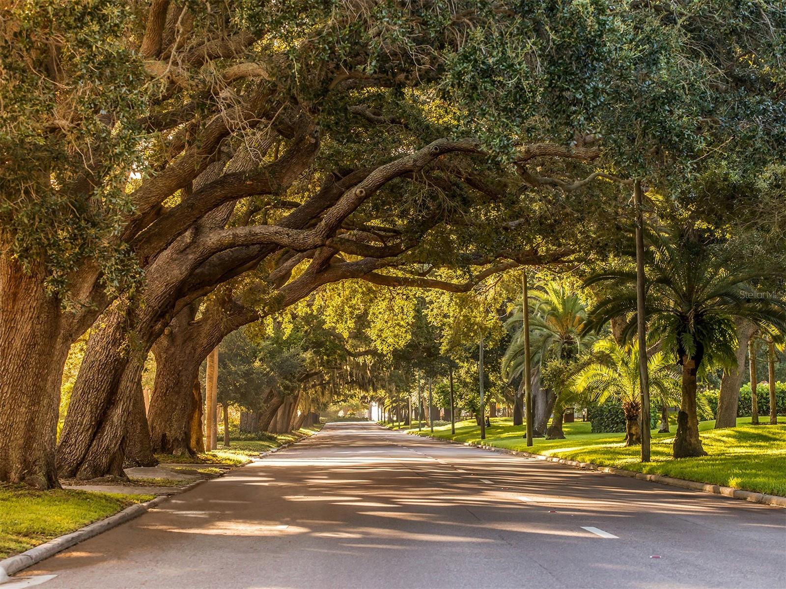 1045 FALCON ROAD, Venice, FL 34293