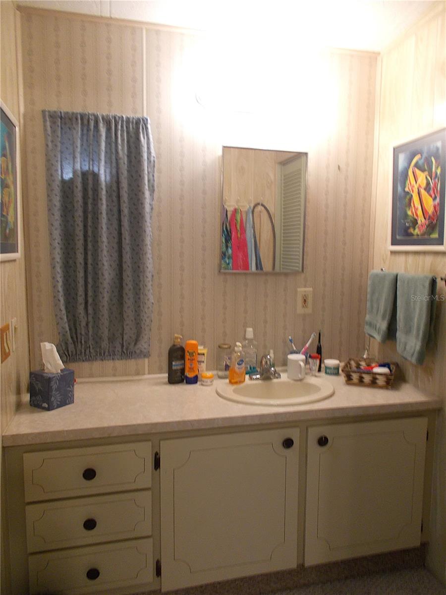 Ensuite bathroom vanity