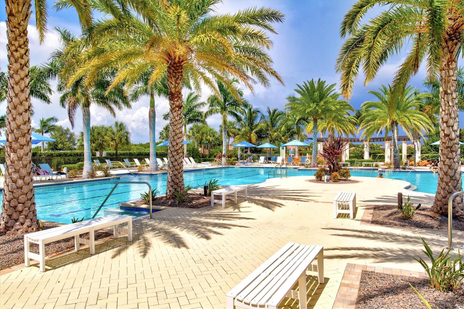 10808 TARFLOWER DRIVE, #102, Venice, FL 34293