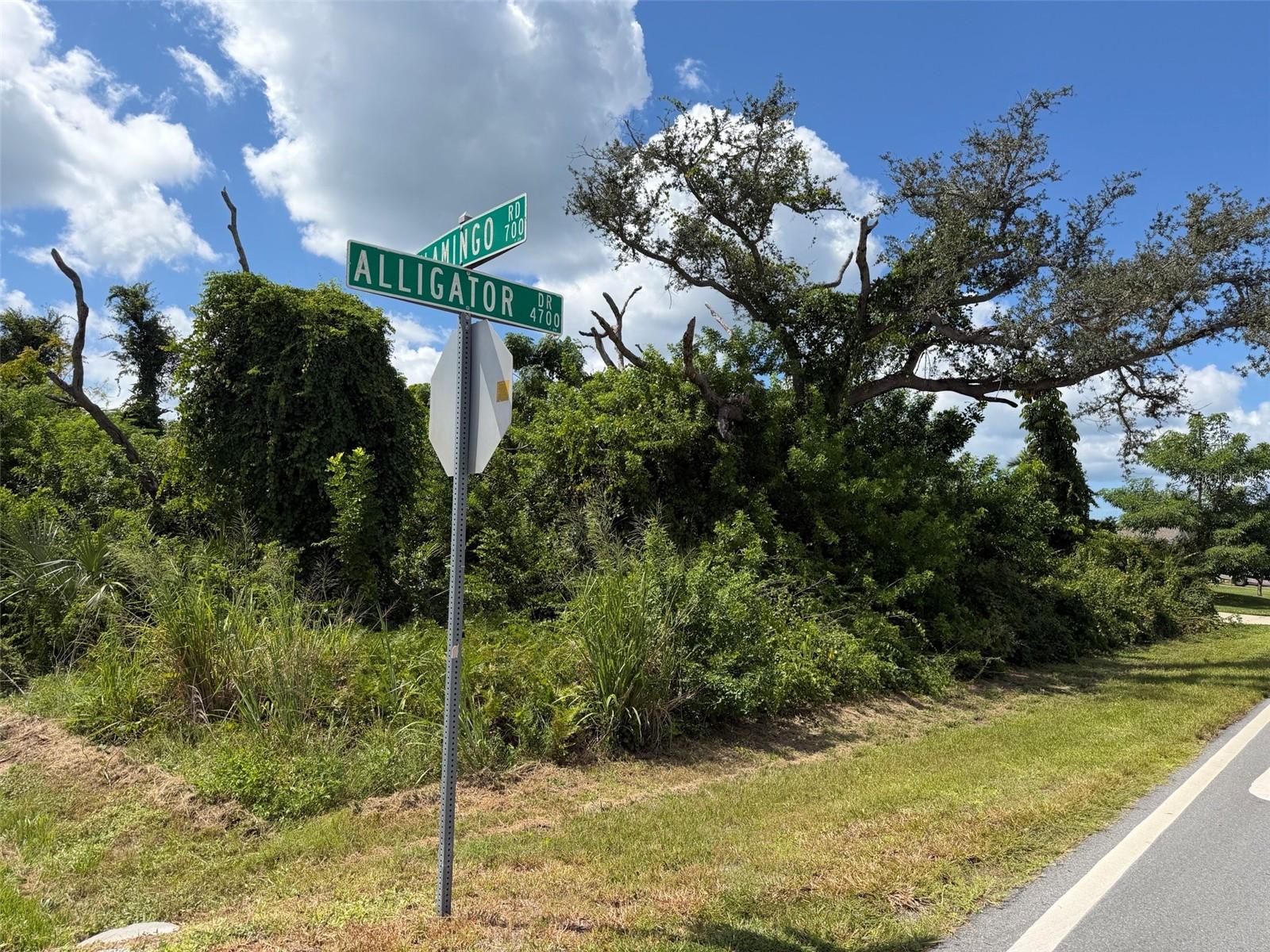 RAINBOW ROAD, Venice, FL 34293
