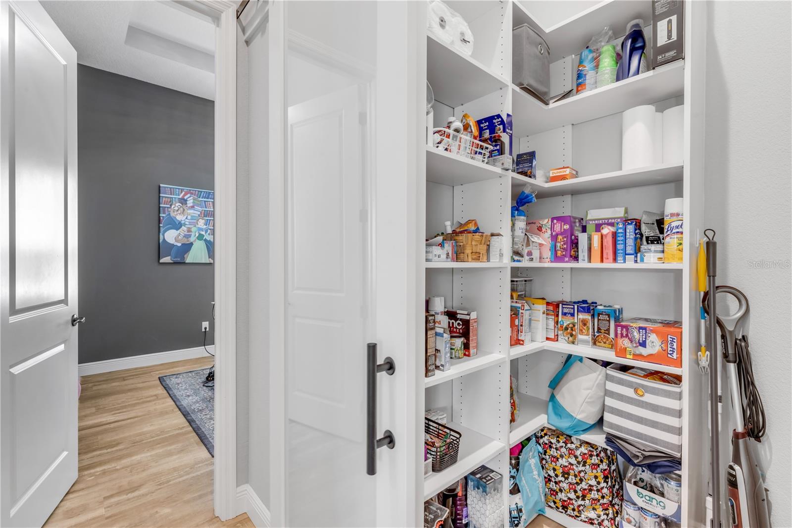 3055 ISOLA BELLA BOULEVARD, Mount Dora, FL 32757